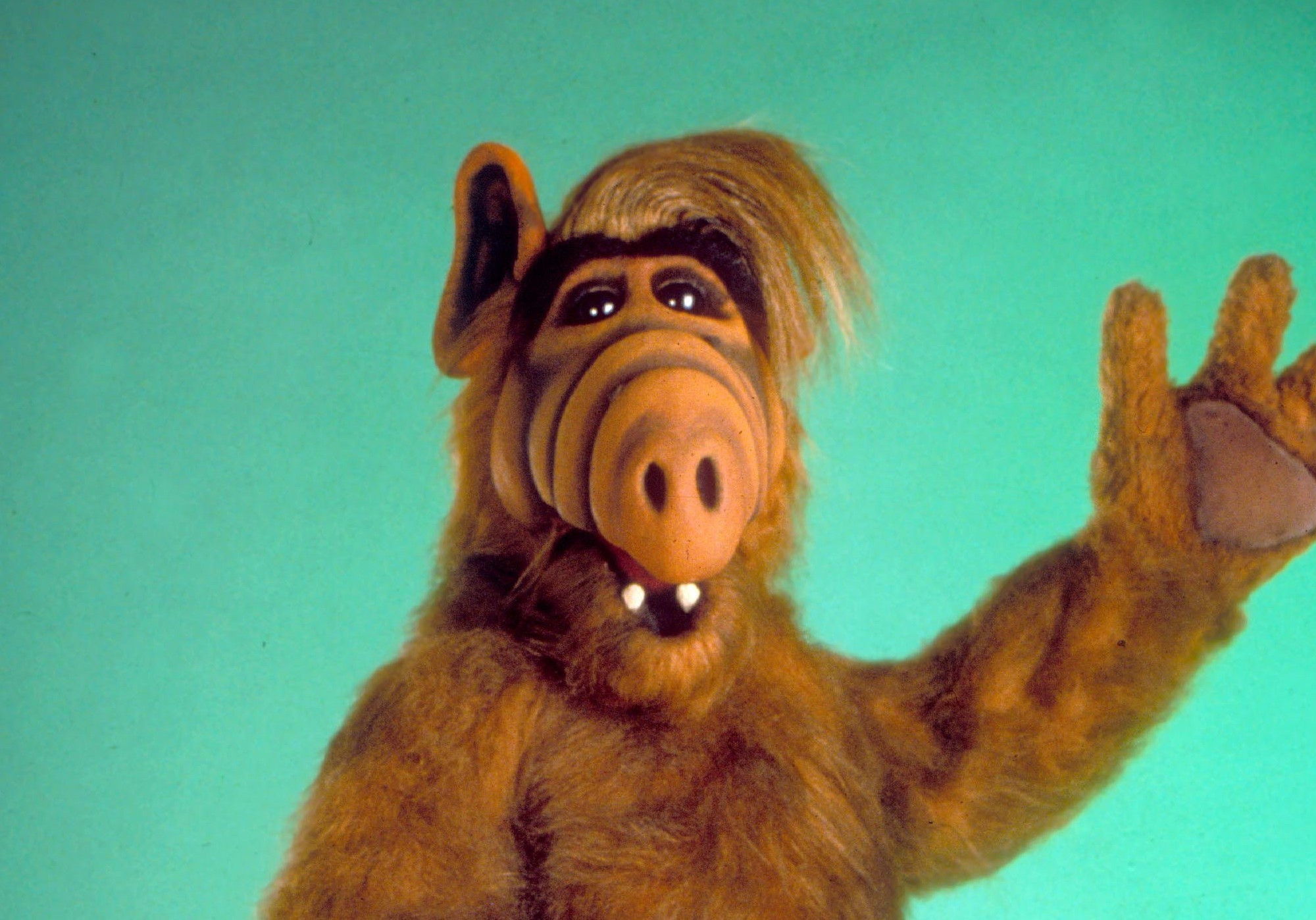 Alf, l'extra-terrestre