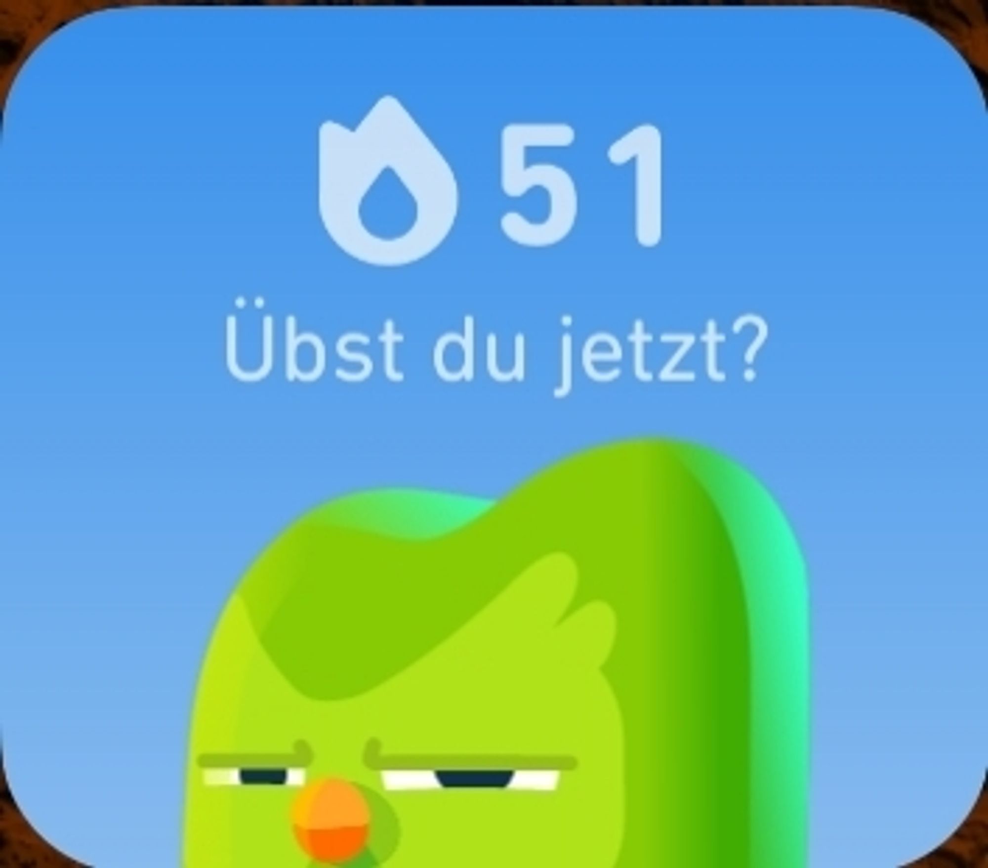 Duolingo Bird bedroht mich weil ich heute noch keine Italienisch Lektion gemacht habe. (Der hat ein Messer, hilfe)