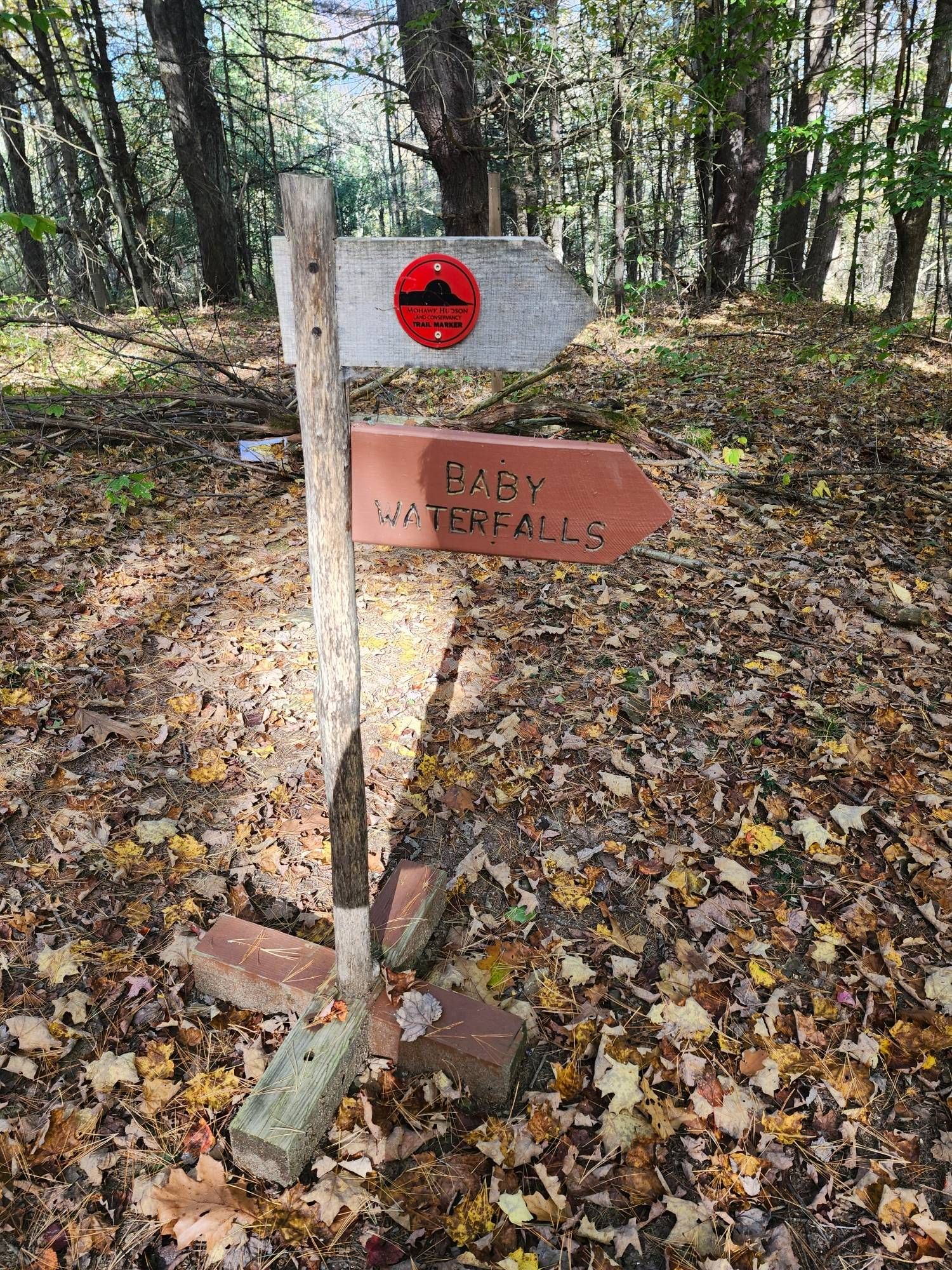 Sign in the woods
Lots of leaves on the ground
Trail marker sign
Arrow pointing to
BABY WATERFALLS