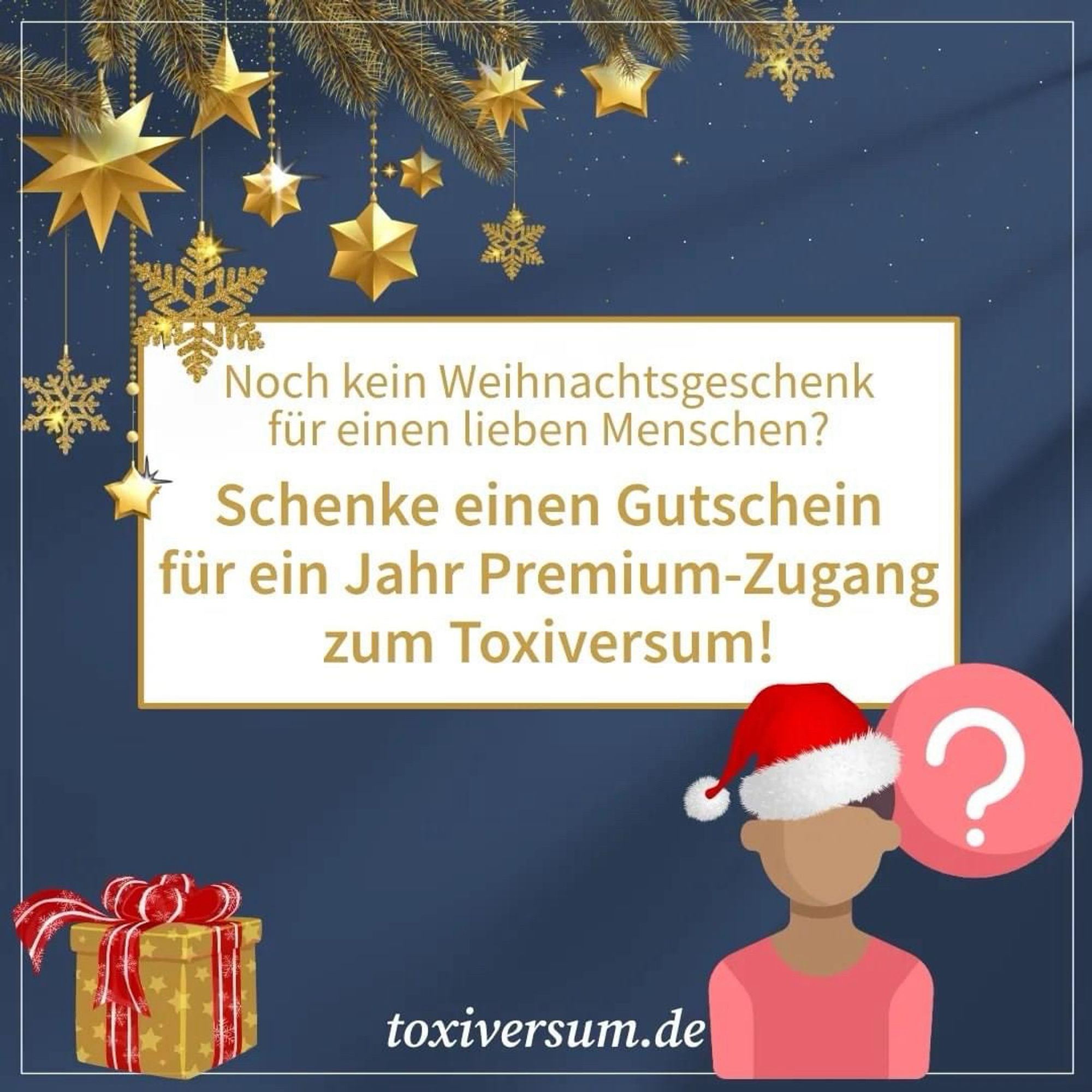 Bild mit Weihnachts-Blingbling und Text: Noch kein Weihnachtsgeschenk für einen lieben Menschen? Schenke einen Gutschein für ein Jahr Premium-Zugang zum Toxiversum!