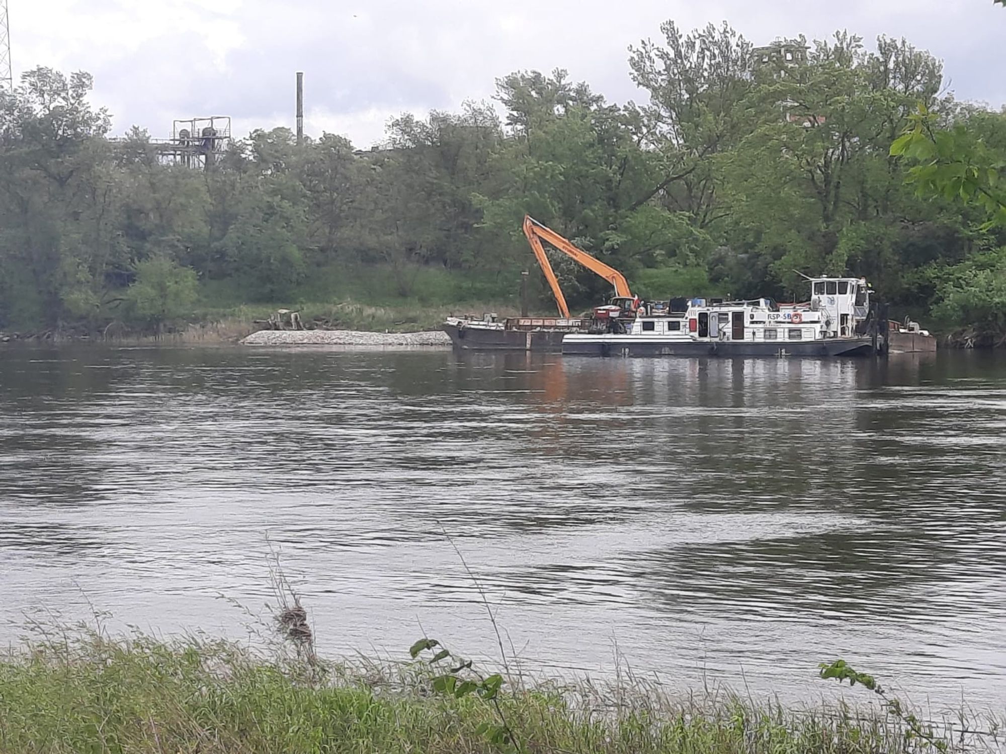 Laufender Flussausbau an der Grenzoder bei OsinówDolny/Hohenwutzen nördlich Oderbrücke am 29. April 2024