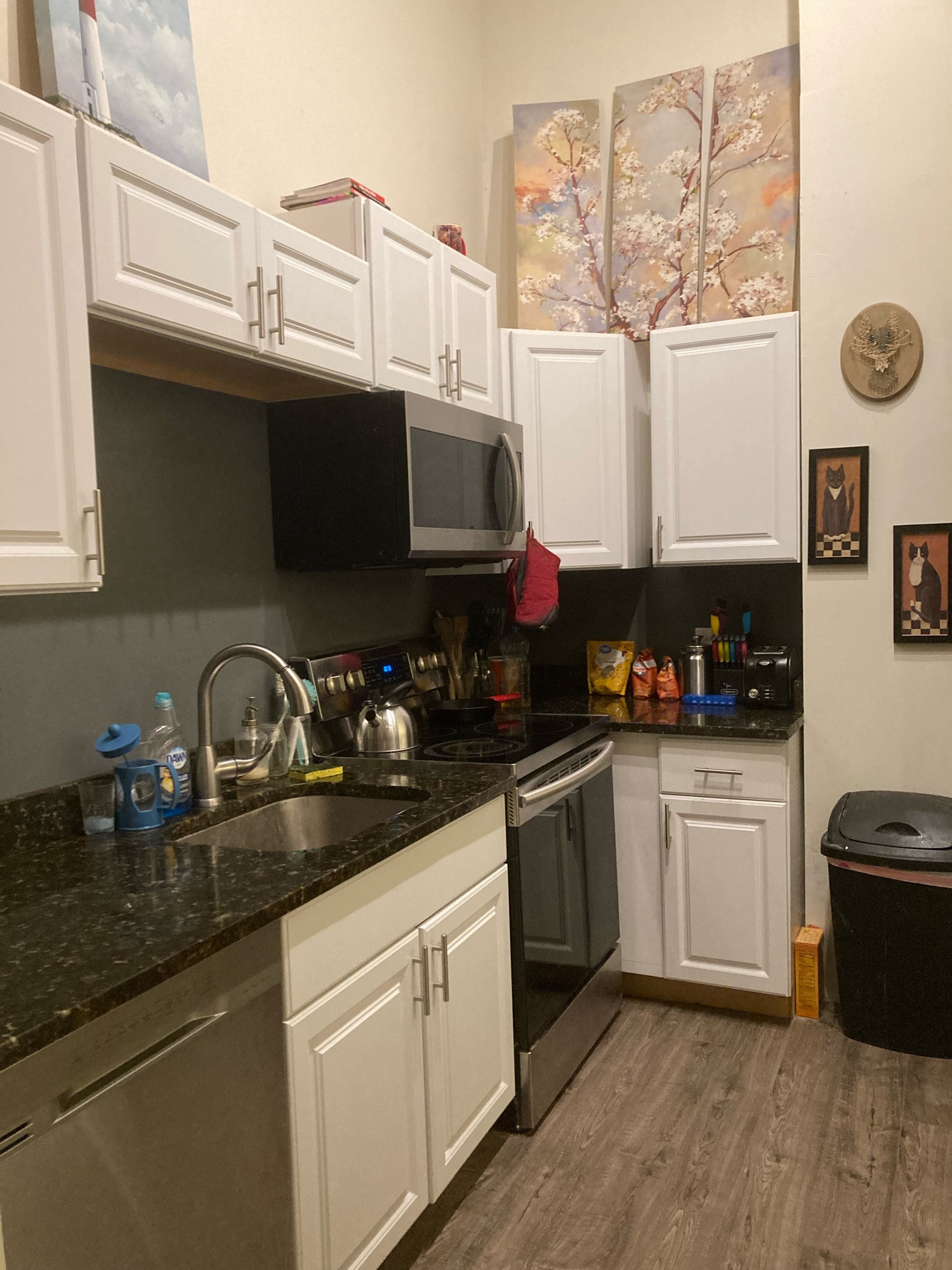 Photo of my kitchen. It’s clean!