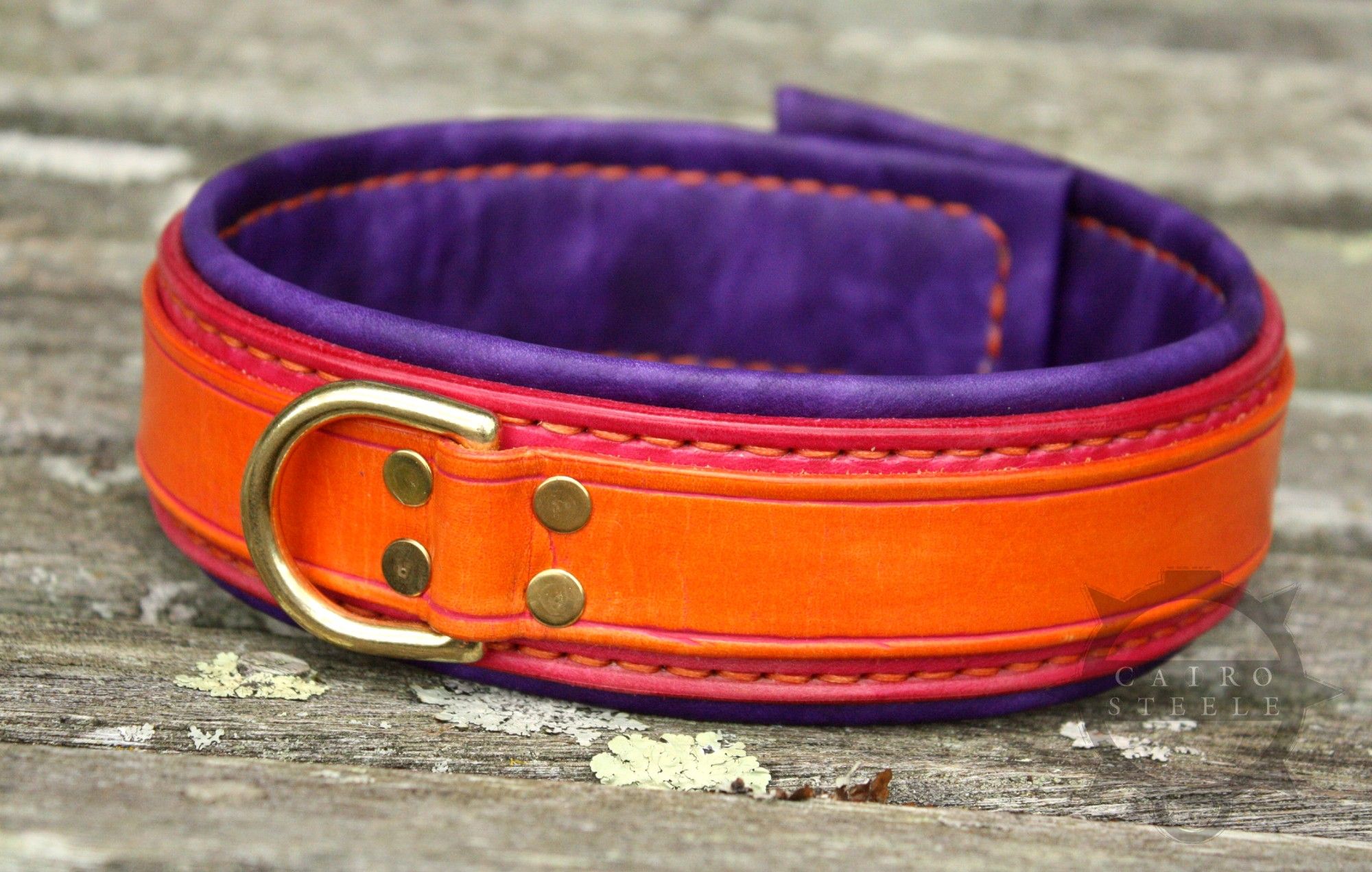 The orange and violet collar from the first photo