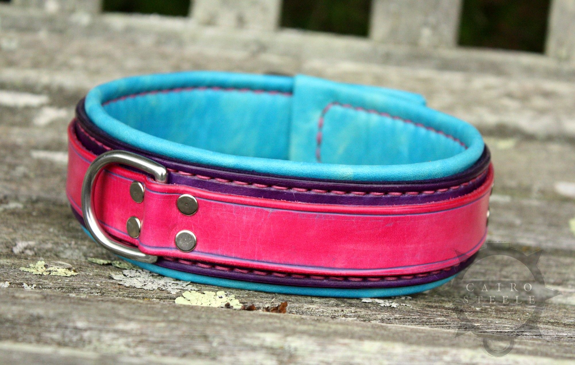 The pink and aqua collar from the first photo