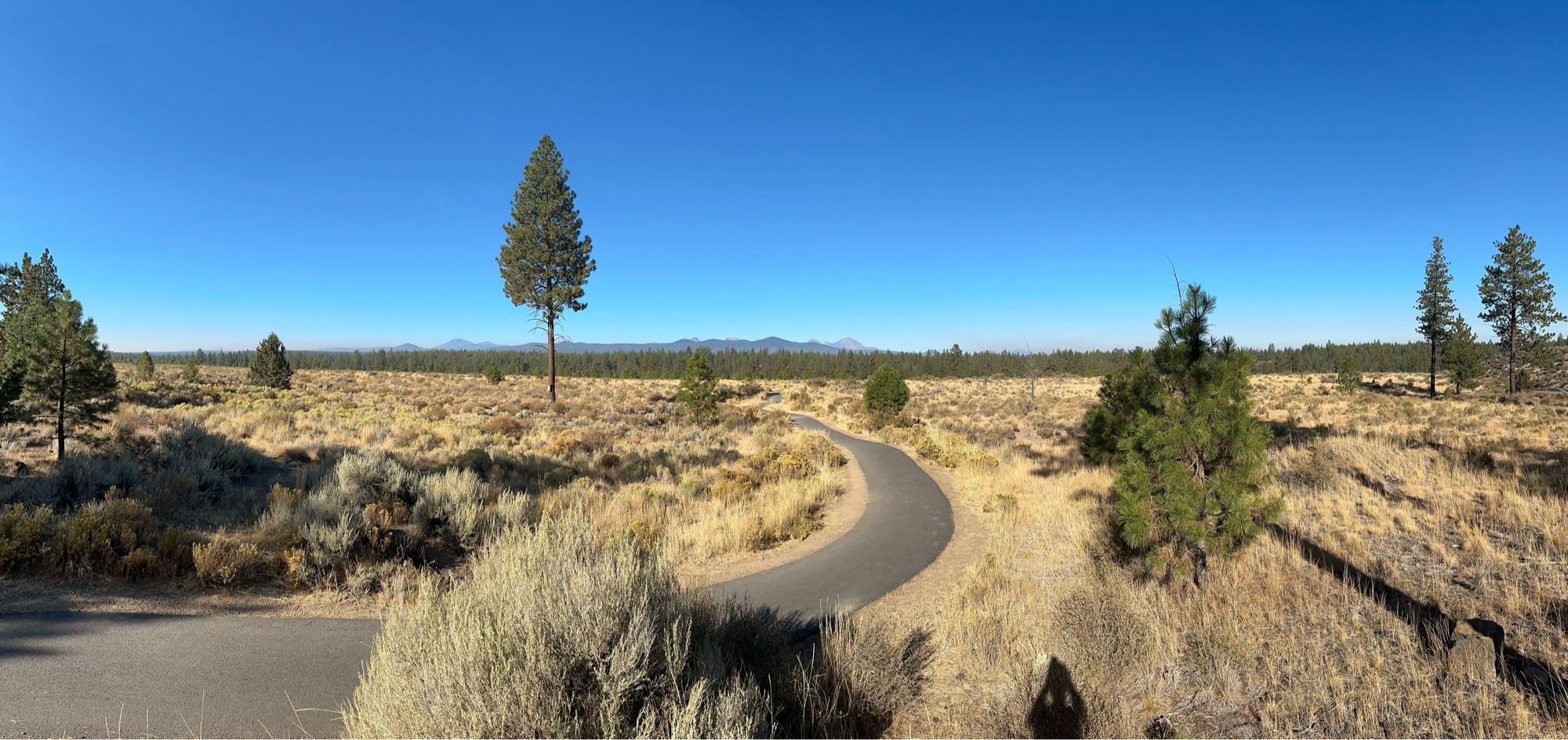 Panoramic photograph of a high desert landscape. Taken at 10am