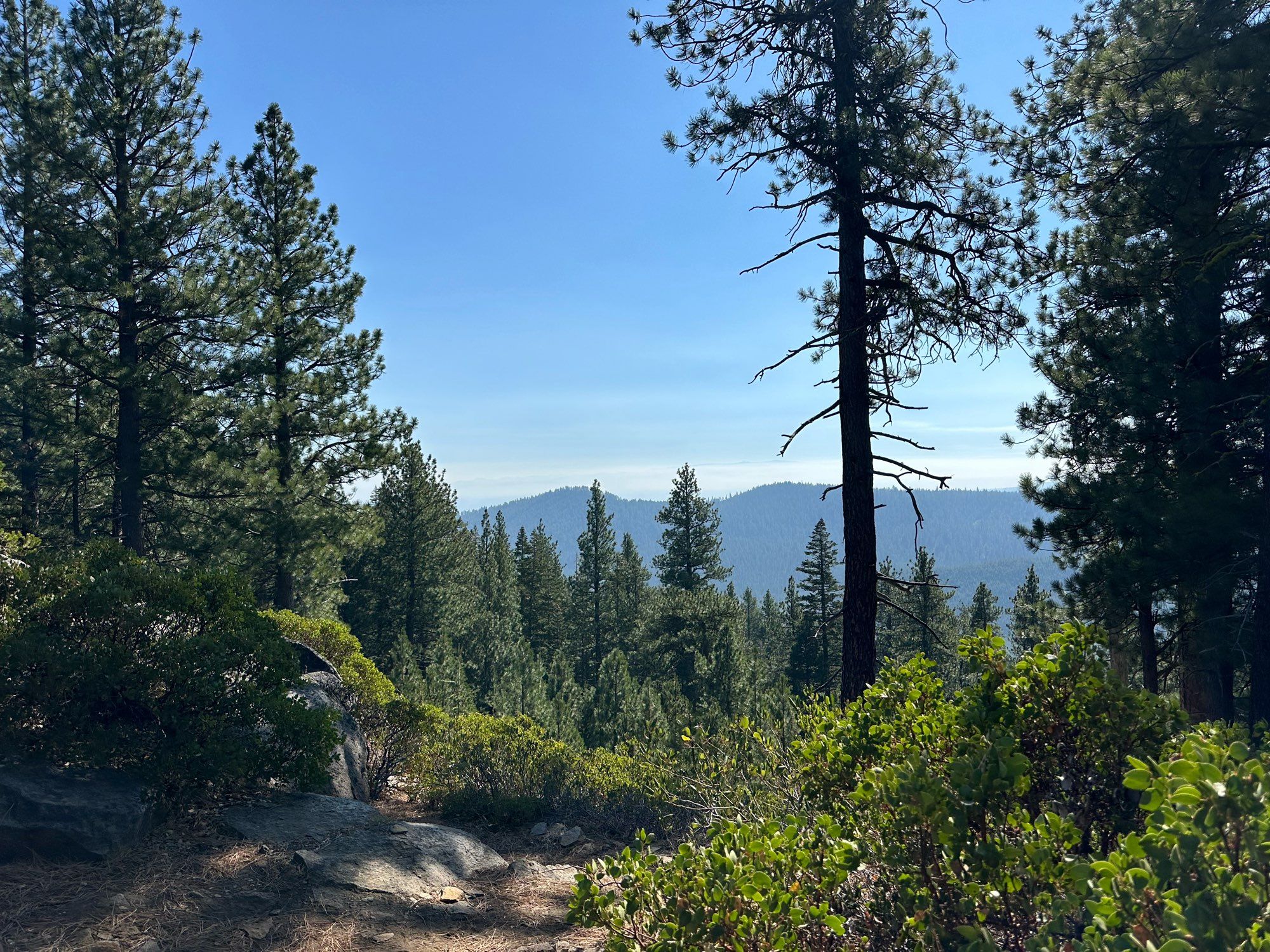 View over a valley with blue hills in the distance. Taken at noon.