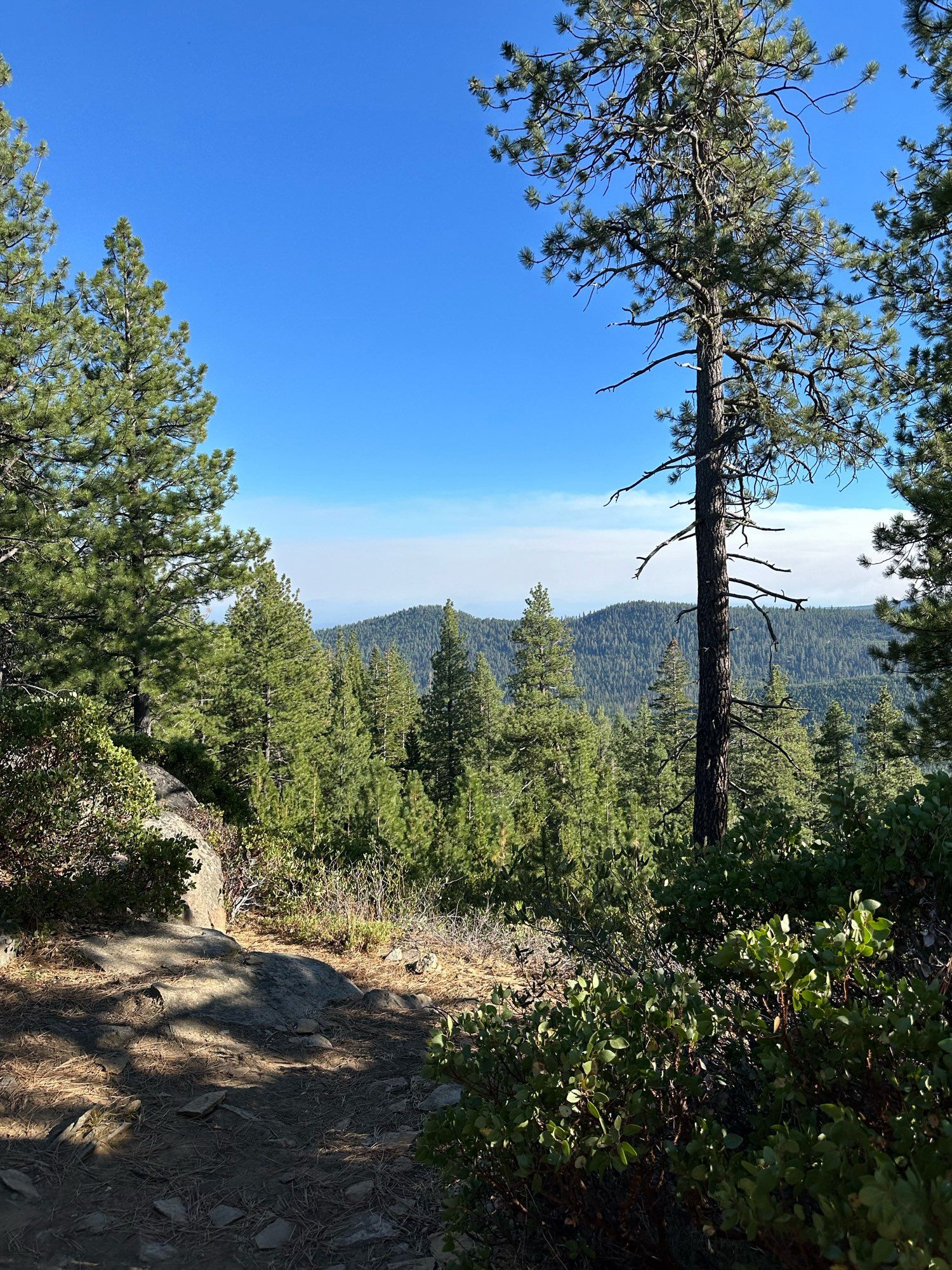 The same view over the same valley, the hillls are now green in the afternoon light and there is smoke behind them. Taken at 4pm