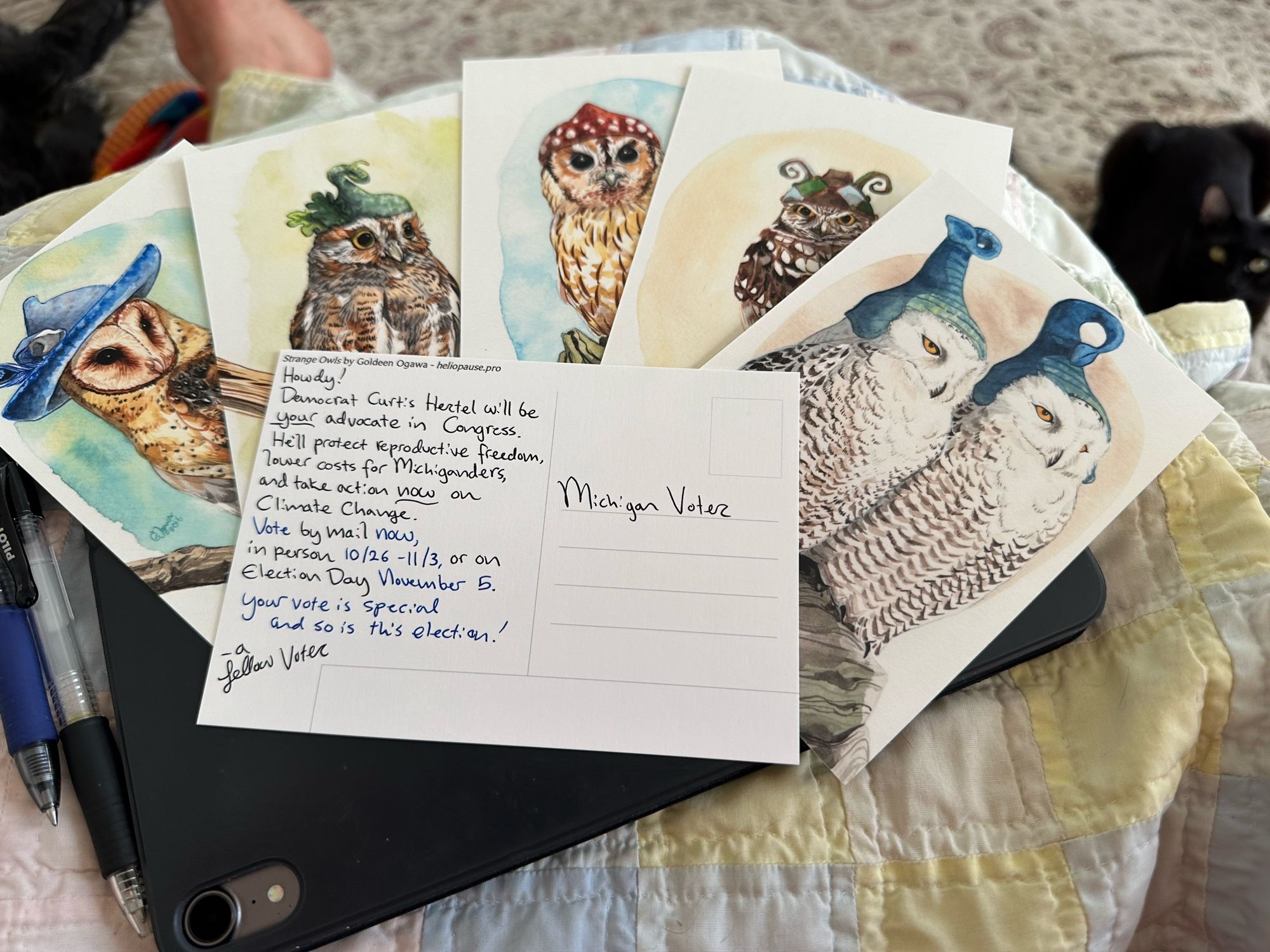 Photo of 5 postcards with owl paintings on them. A 6th is laid text-side up with a message encouraging Michiganders to vote for their Democratic candidate for Congress.