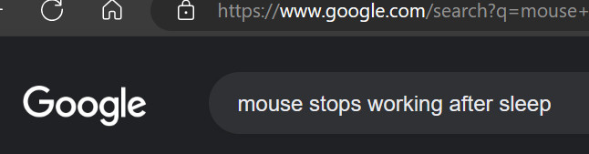 Google search for "mouse stops working after sleep"