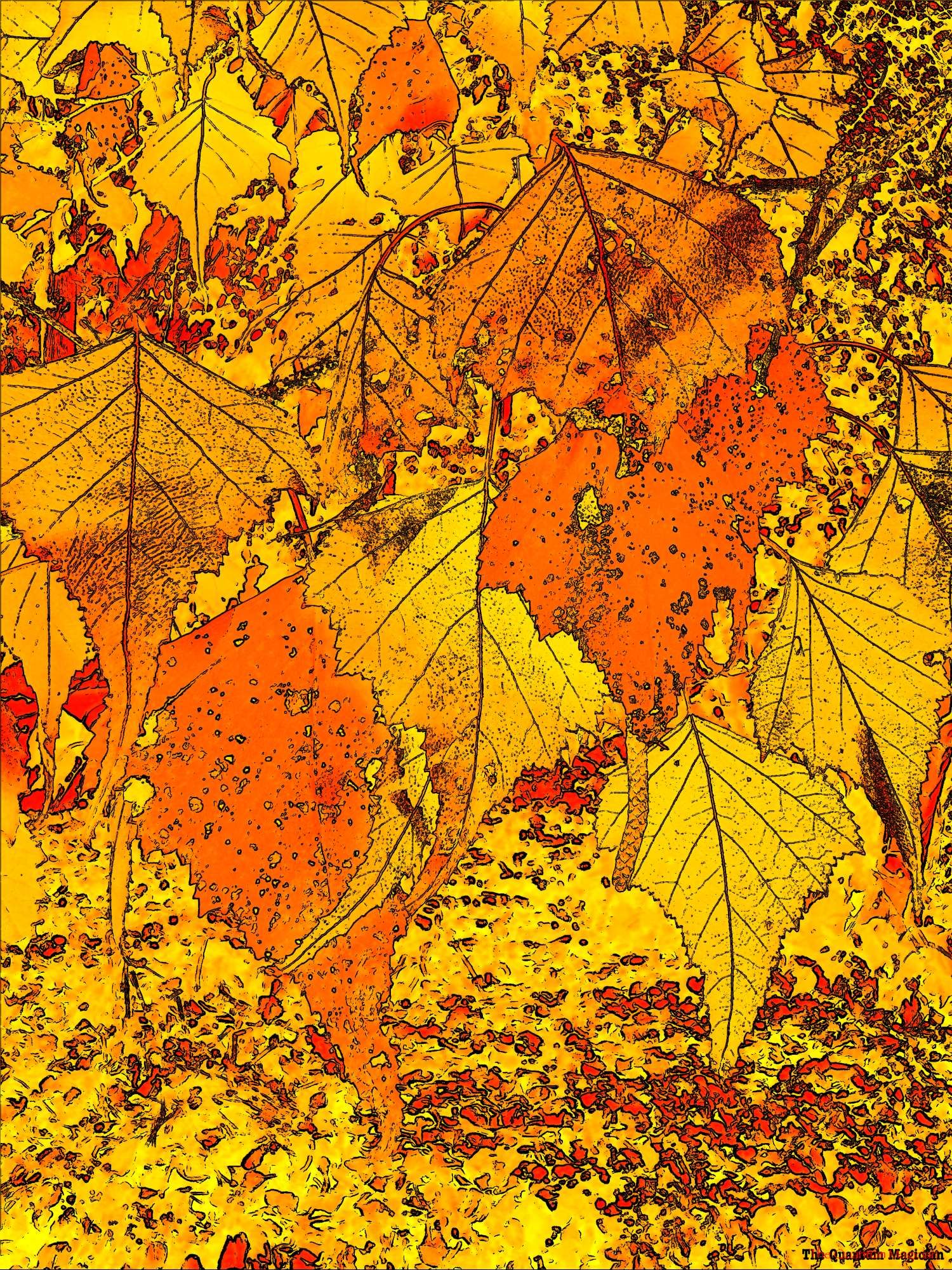 White Birch leaves, some already yellowed by the fall conditions.

The picture has been run through home brew image processing software.

The colors have been manipulated, and details outlined in black. Everything is in shades of yellow, orange, and red.