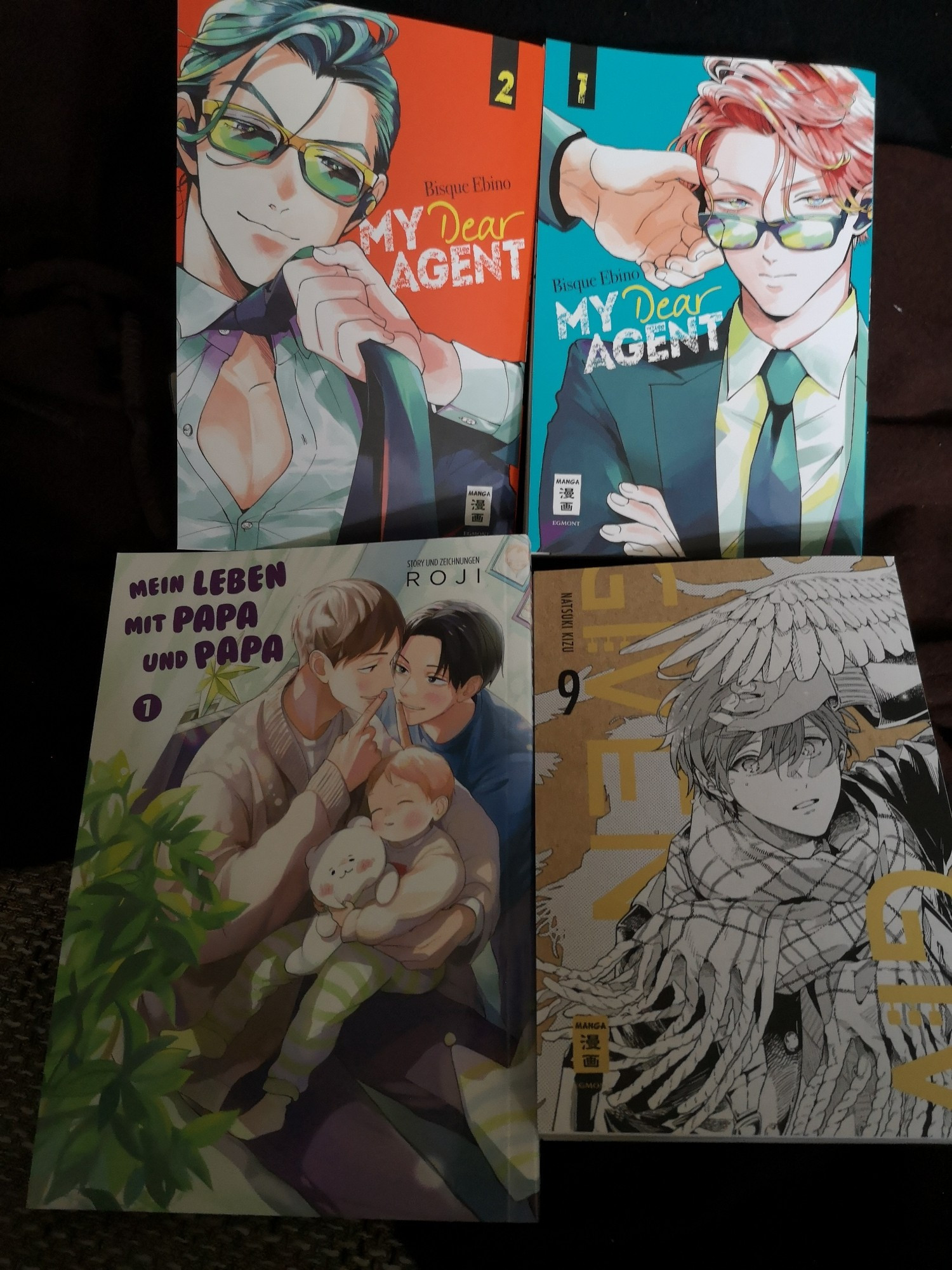 Picture of the four Manga which Titels are in the posting