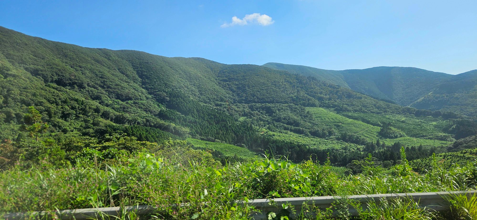 対馬　厳原の内山辺り