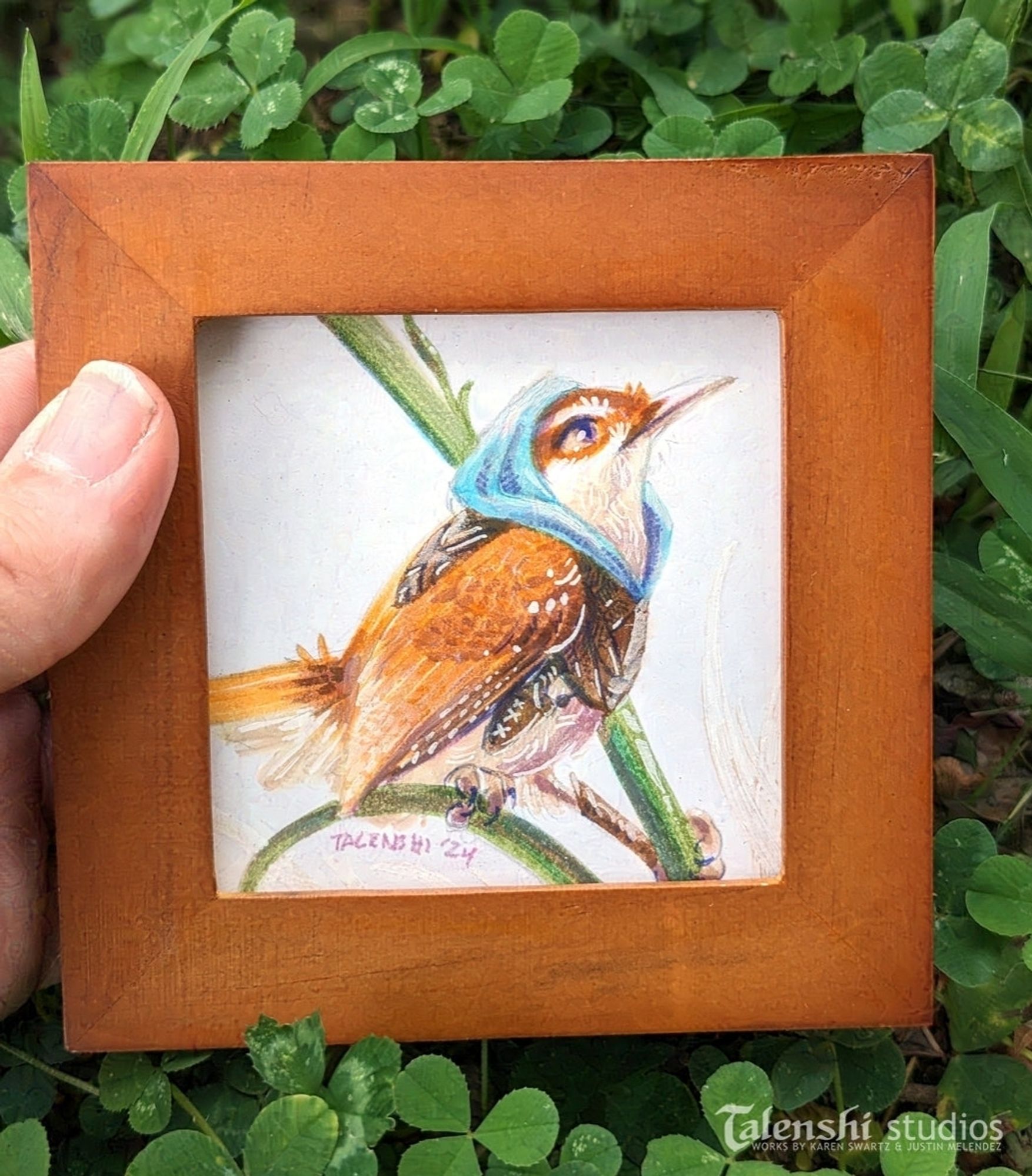 Thoughtful wren, framed original brush pen drawing