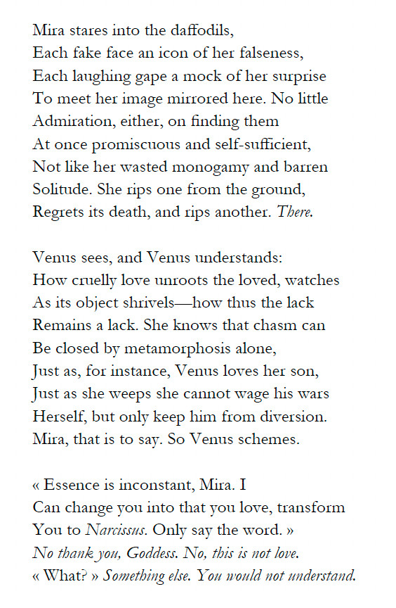 Mira stares into the daffodils,
Each fake face an icon of her falseness,
Each laughing gape a mock of her surprise
To meet her image mirrored here. No little
Admiration, either, on finding them
At once promiscuous and self-sufficient,
Not like her wasted monogamy and barren
Solitude. She rips one from the ground,
Regrets its death, and rips another. There.

Venus sees, and Venus understands:
How cruelly love unroots the loved, watches
As its object shrivels—how thus the lack
Remains a lack. She knows that chasm can
Be closed by metamorphosis alone,
Just as, for instance, Venus loves her son,
Just as she weeps she cannot wage his wars
Herself, but only keep him from diversion.
Mira, that is to say. So Venus schemes.

« Essence is inconstant, Mira. I
Can change you into that you love, transform
You to Narcissus. Only say the word. »
No thank you, Goddess. No, this is not love.
« What? » Something else. You would not understand.
