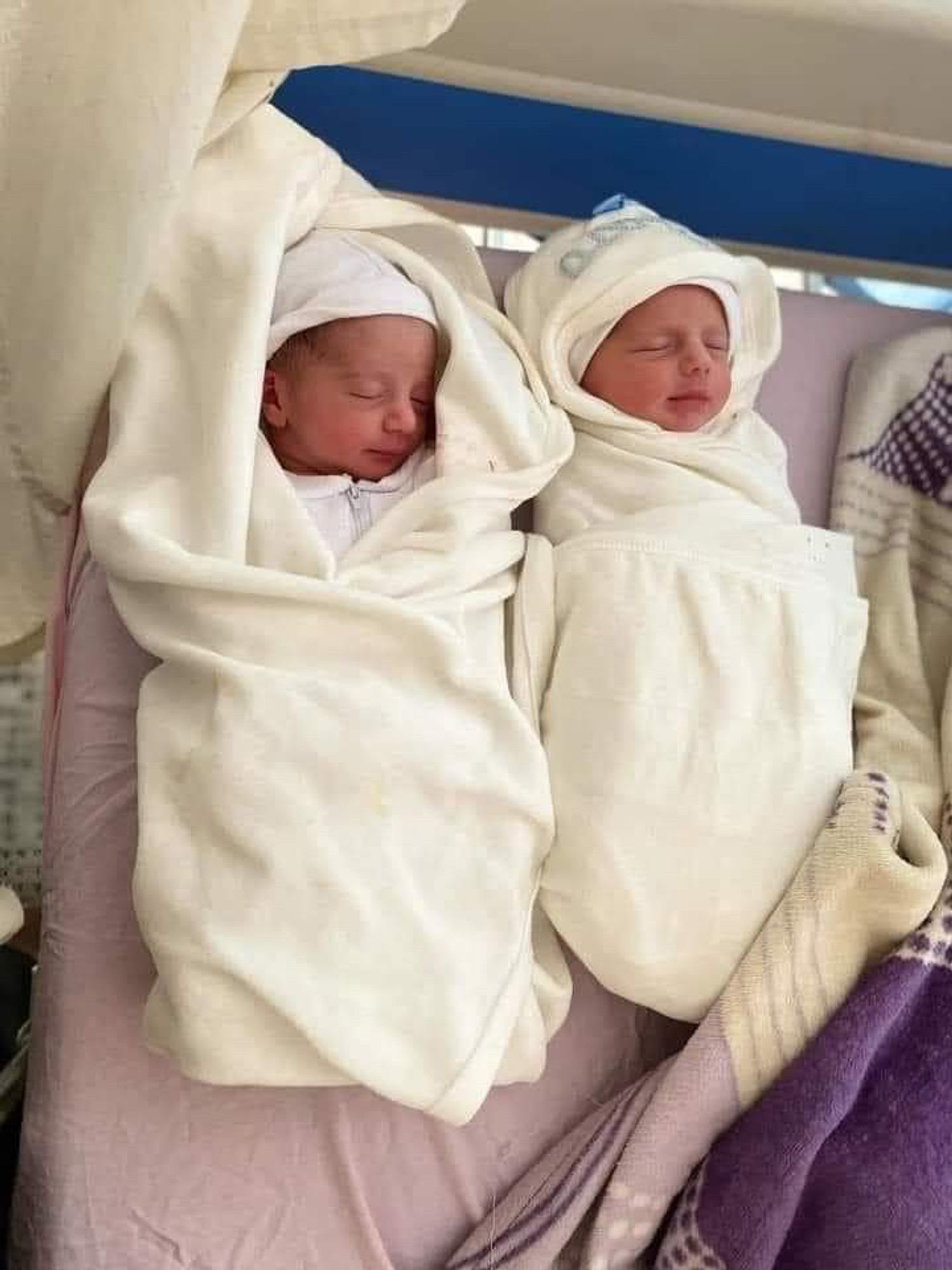 Beautiful twin newborns, swaddled in creme-colored blankets, side-by-side on a (hospital?) bed with light purple sheets and a purple patterned blanket.