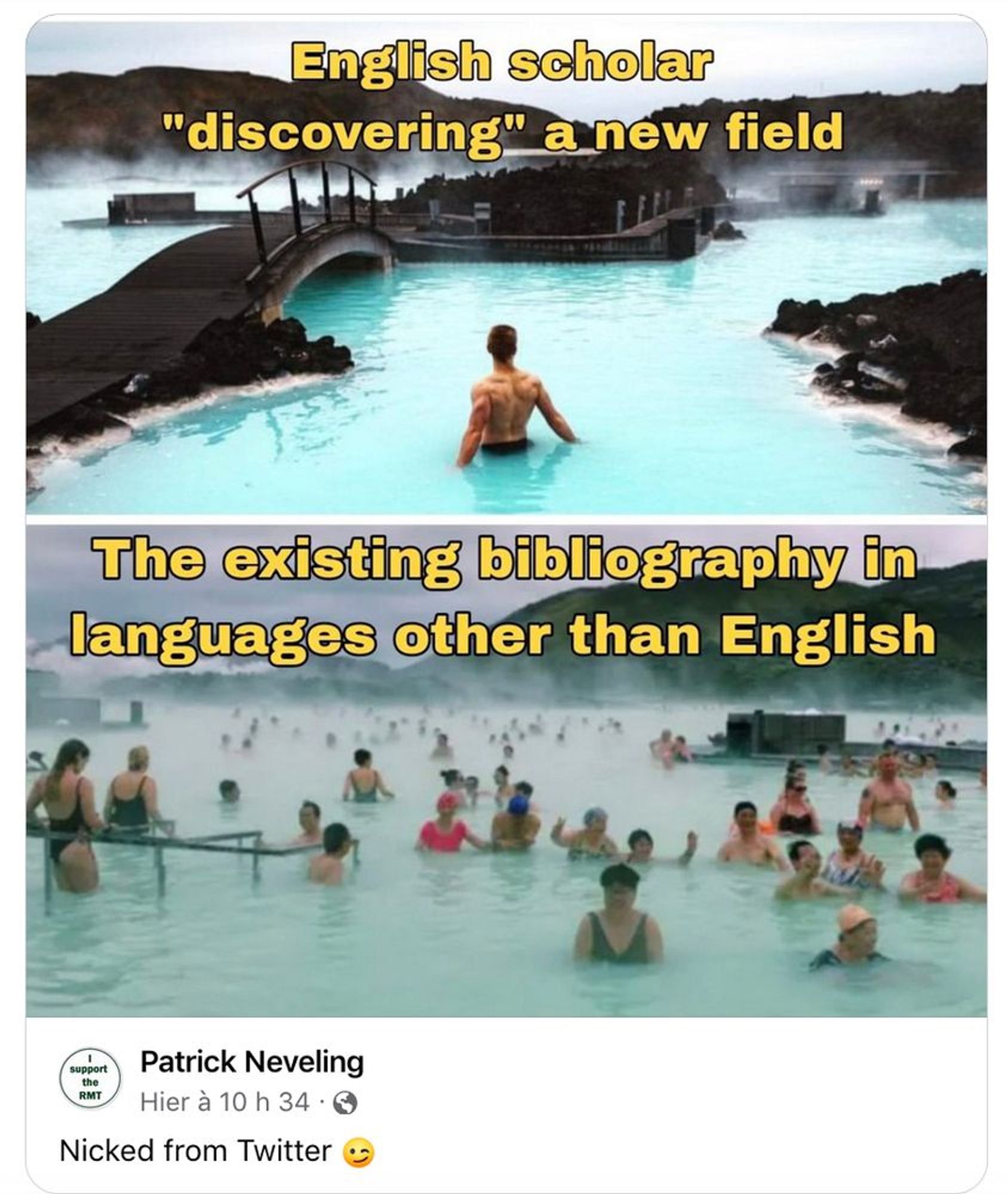 A man stands alone in a series of hot springs: "English scholar 'discovering' a new field." The image below shows the busy, human-filled rest of the hot springs, just out of the frame: "The existing bibliography in languages other than English."