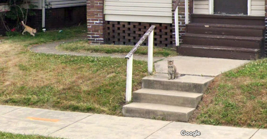 A tabby cat sits on a concrete step in front of a house. Behind him and to his right, an orange tabby approaches. No info on whether the wind begins to howl.