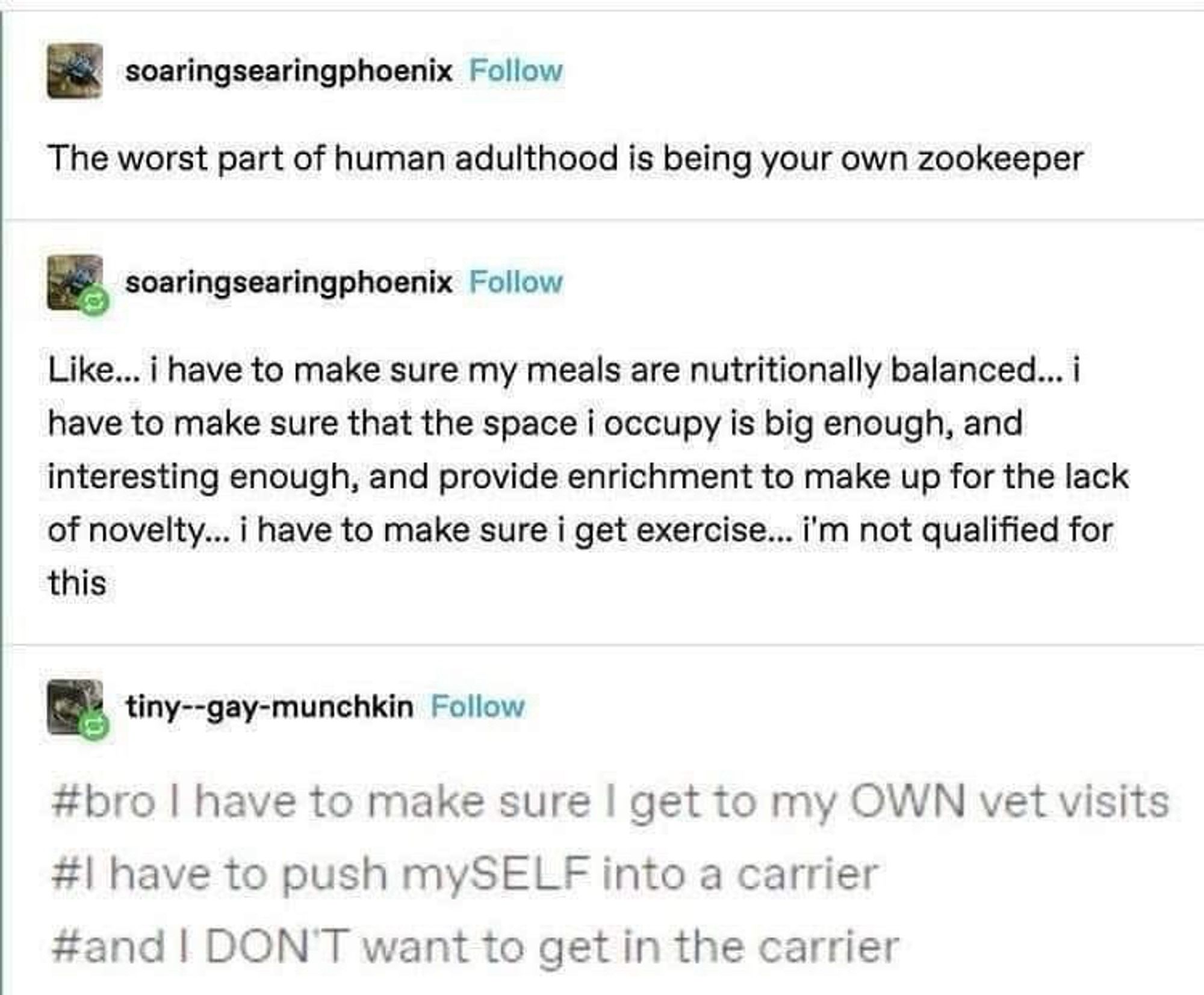 soaringsearingphoenix Follow
The worst part of human adulthood is being your own zookeeper
soaringsearingphoenix Follow
Like... I have to make sure my meals are nutritionally balanced... i have to make sure that the space i occupy is big enough, and interesting enough, and provide enrichment to make up for the lack of novelty... i have to make sure i get exercise... i'm not qualified for this
tiny--gay-munchkin Follow
#bro I have to make sure I get to my OWN vet visits
#I have to push mySELF into a carrier #and I DON'T want to get in the carrier