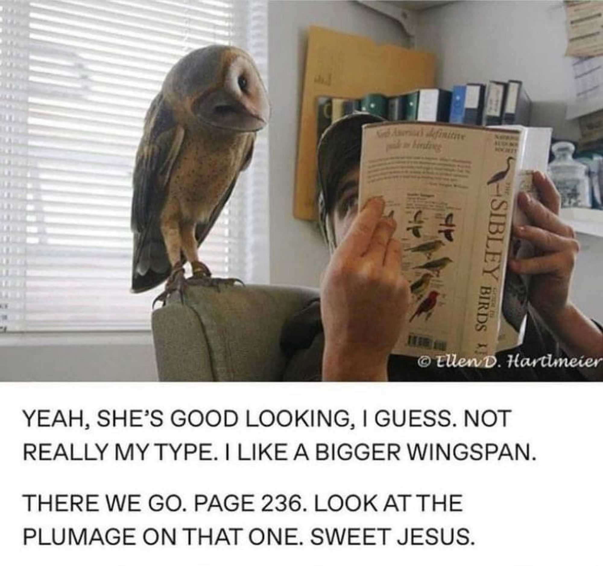 (An owl talking to a guy as they look at a bird book)

YEAH, SHE'S GOOD LOOKING, I GUESS. NOT REALLY MY TYPE. I LIKE A BIGGER WINGSPAN.
THERE WE GO. PAGE 236. LOOK AT THE PLUMAGE ON THAT ONE. SWEET JESUS.