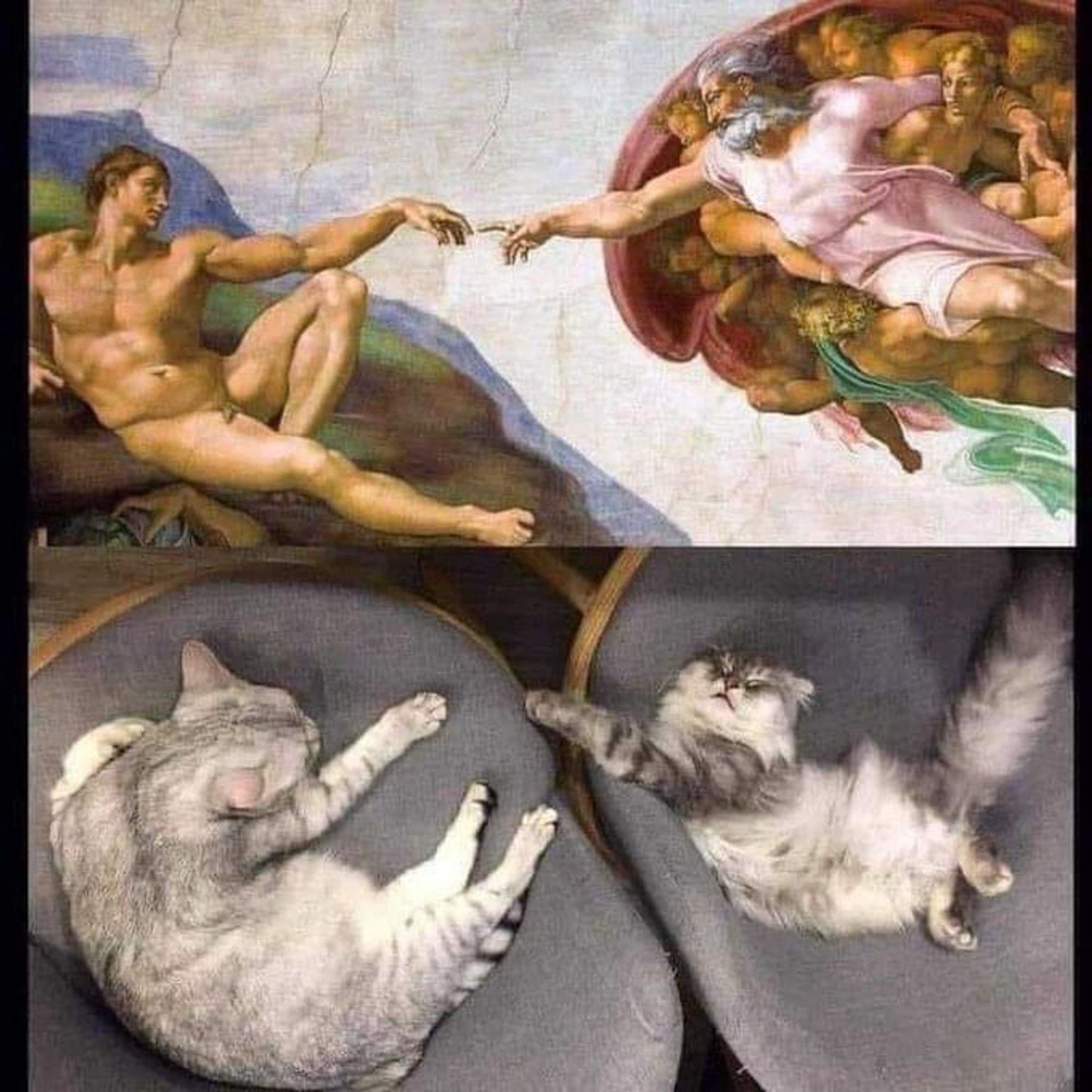 (2 cats reproduce the image of God touching man)