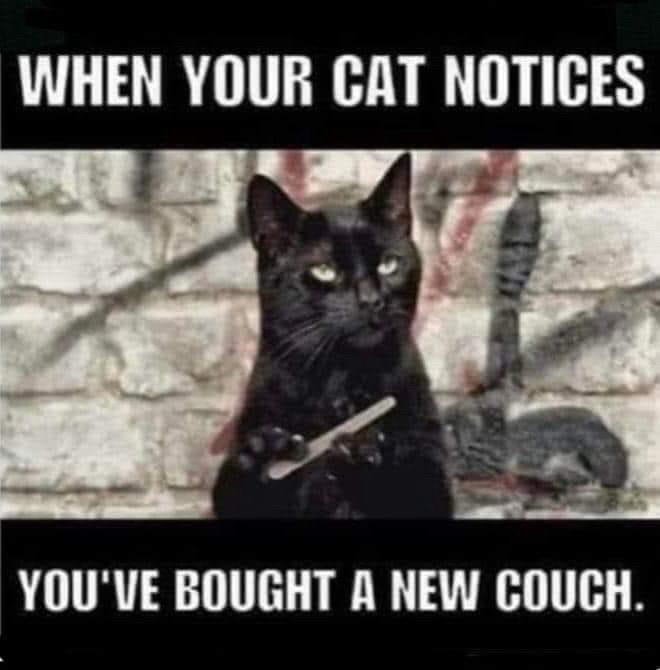 WHEN YOUR CAT NOTICES
YOU'VE BOUGHT A NEW COUCH.
(Black cat sharpening its nails)