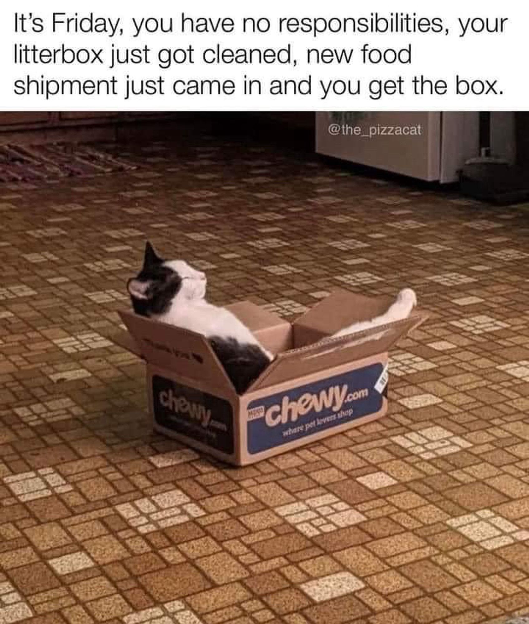 (A cat lying in a Chewy box)

It's Friday, you have no responsibilities, your litterbox just got cleaned, new food shipment just came in and you get the box.