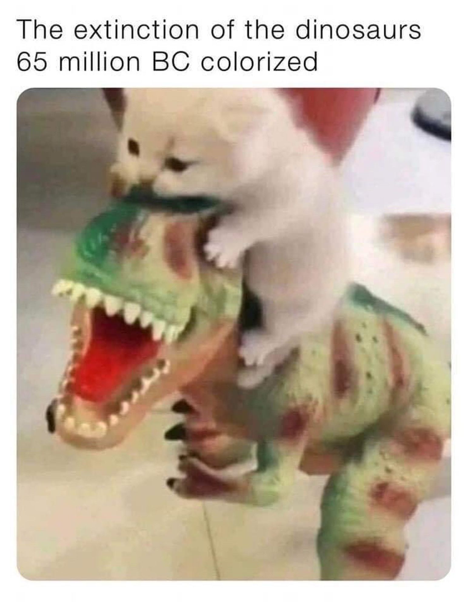 (Kitten biting T-Rex on the head)

The extinction of the dinosaurs 65 million BC colorized. 