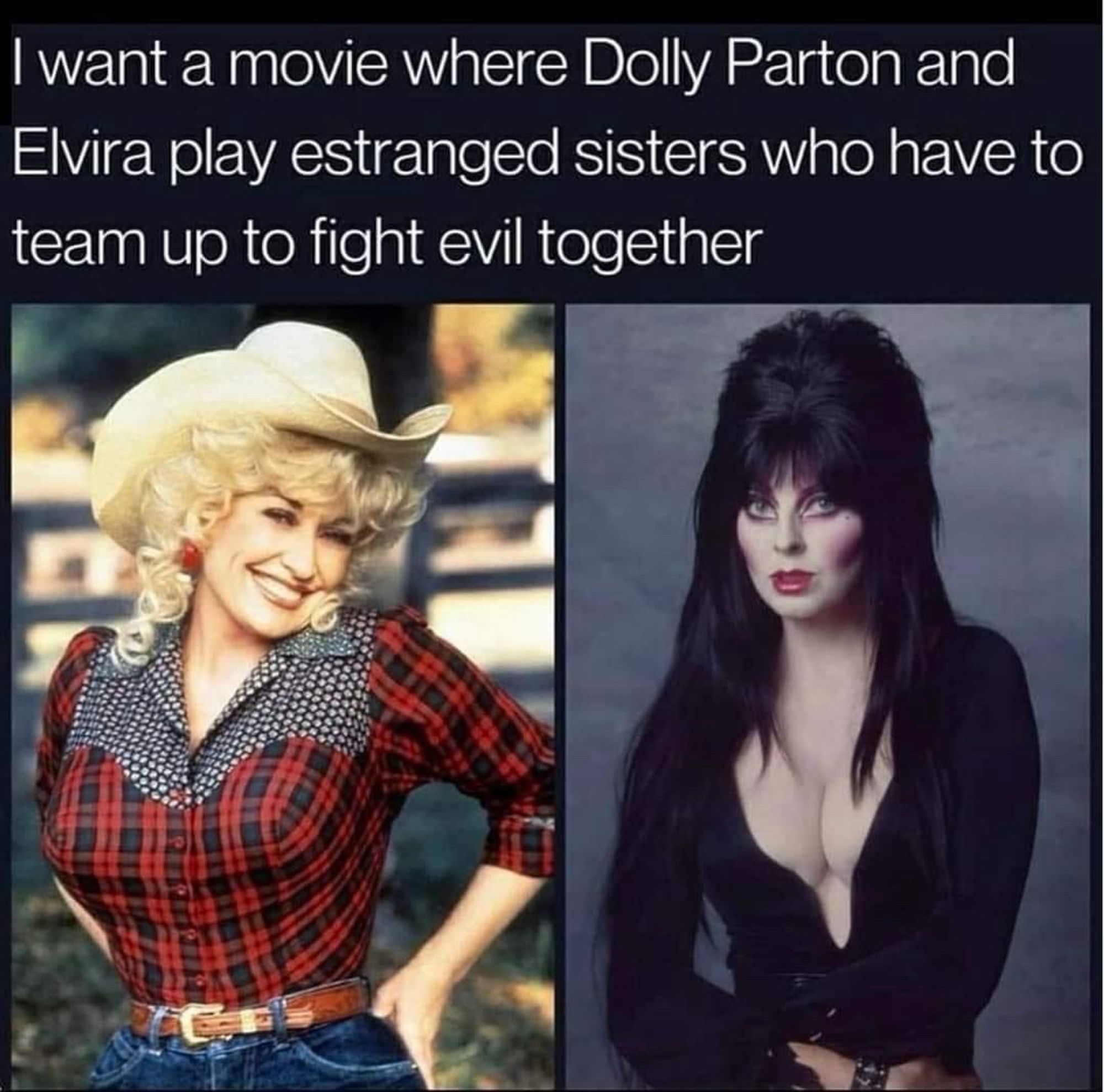 I want a movie where Dolly Parton and Elvira play estranged sisters who have to team up to fight evil together