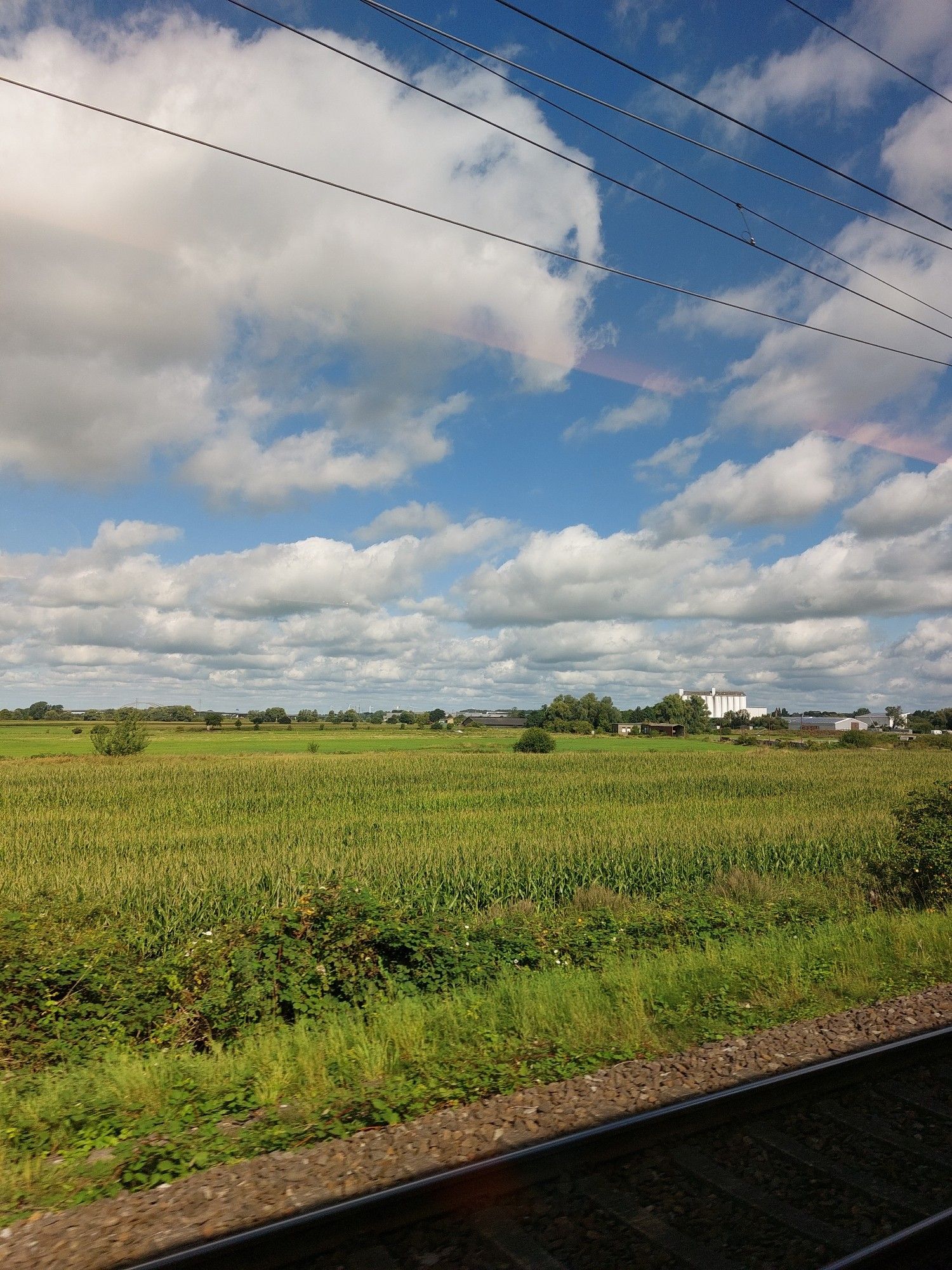 Eine grüne Landschaft mit blauem Himmel und Schäfchenwolken, aus einem Zugabteil heraus fotografiert