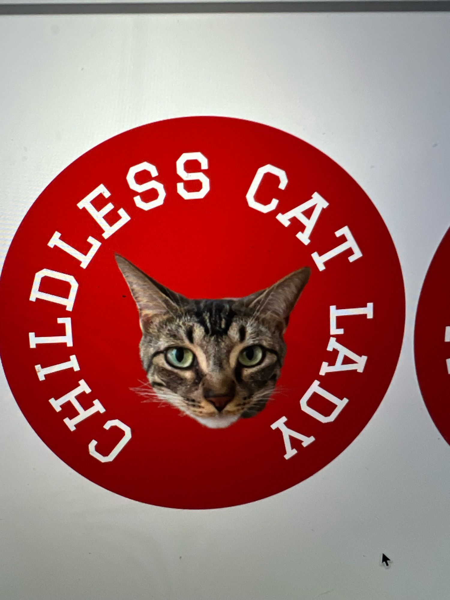 Childless cat lady sticker with a picture of Hashbrown the cat