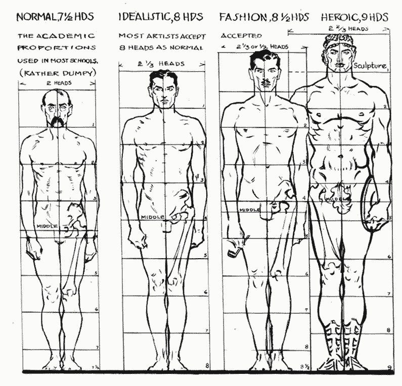 Four male proportion schemas, from Andrew Loomis