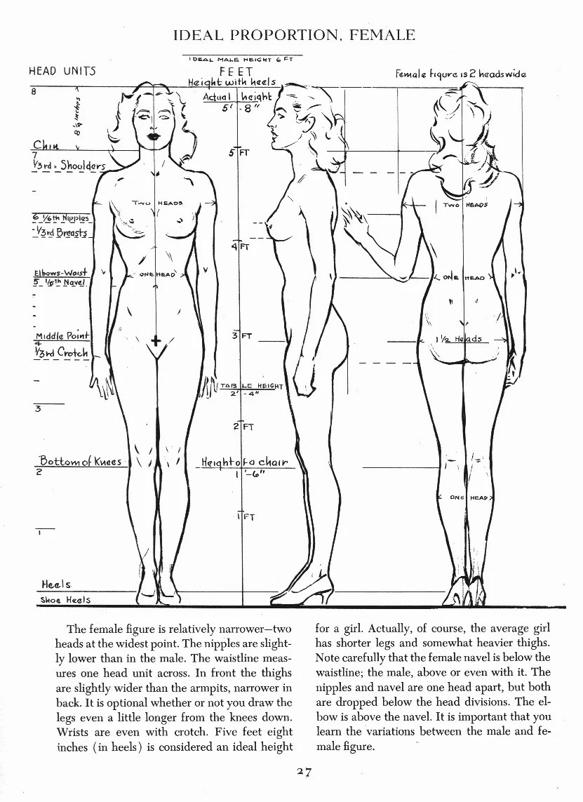 Female proportions from Andrew Loomis, including heels.