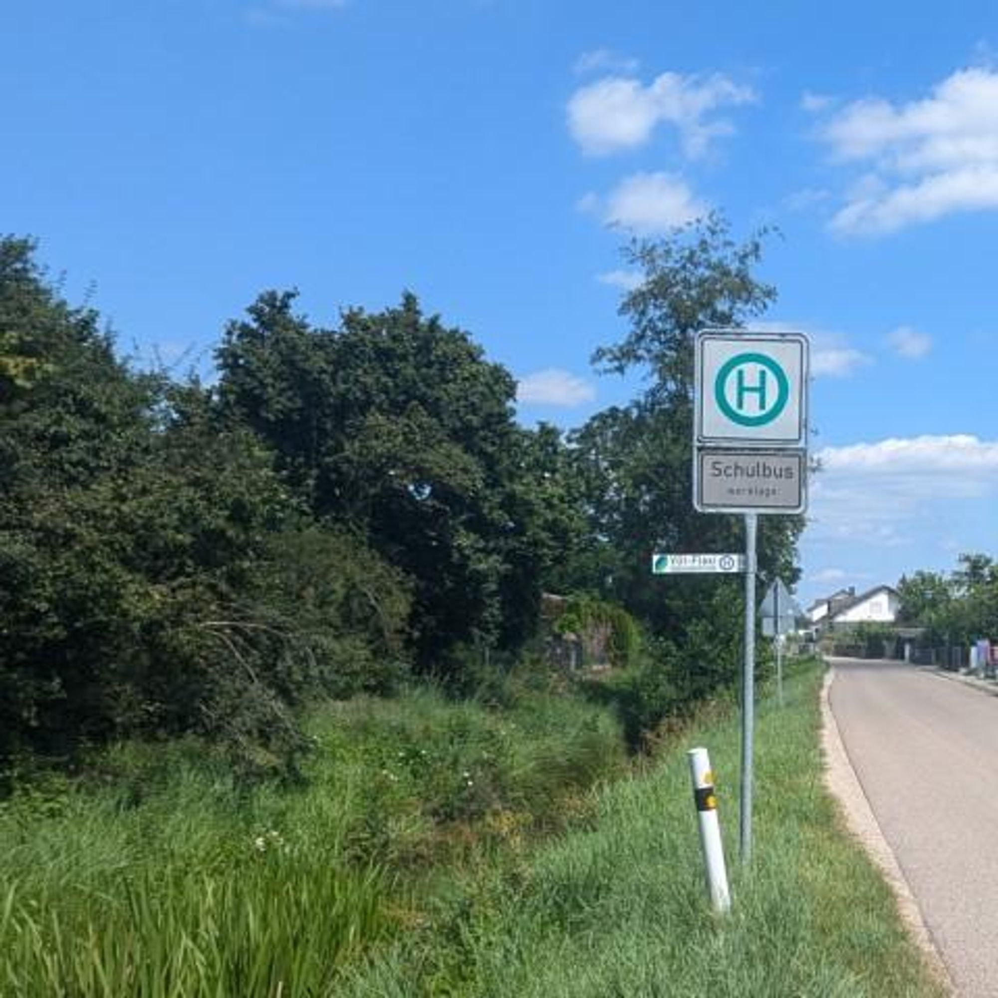 Haltestellenschild zwischen einer Straße und einem Donaumoos-Entwässerungskanal. Das Schild hat ein grünes “H”-Symbol auf gelbem Hintergrund und darunter steht das Wort “Schulbus”. Darunter am Mast des Haltesetllenschildes ist das "VGI Flexi" Schild angebracht. Das Schild ist von üppigem Grün umgeben, einschließlich Gras, Büsche und Bäume. Der Himmel ist blau mit einigen verstreuten Wolken.