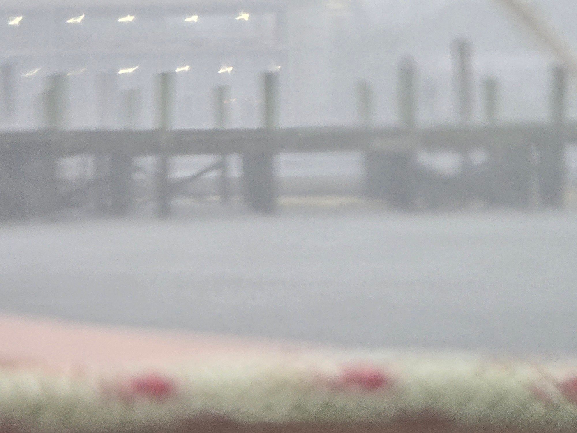 An image of the same seawall from earlier but the water level is much lower and visibility is much poorer