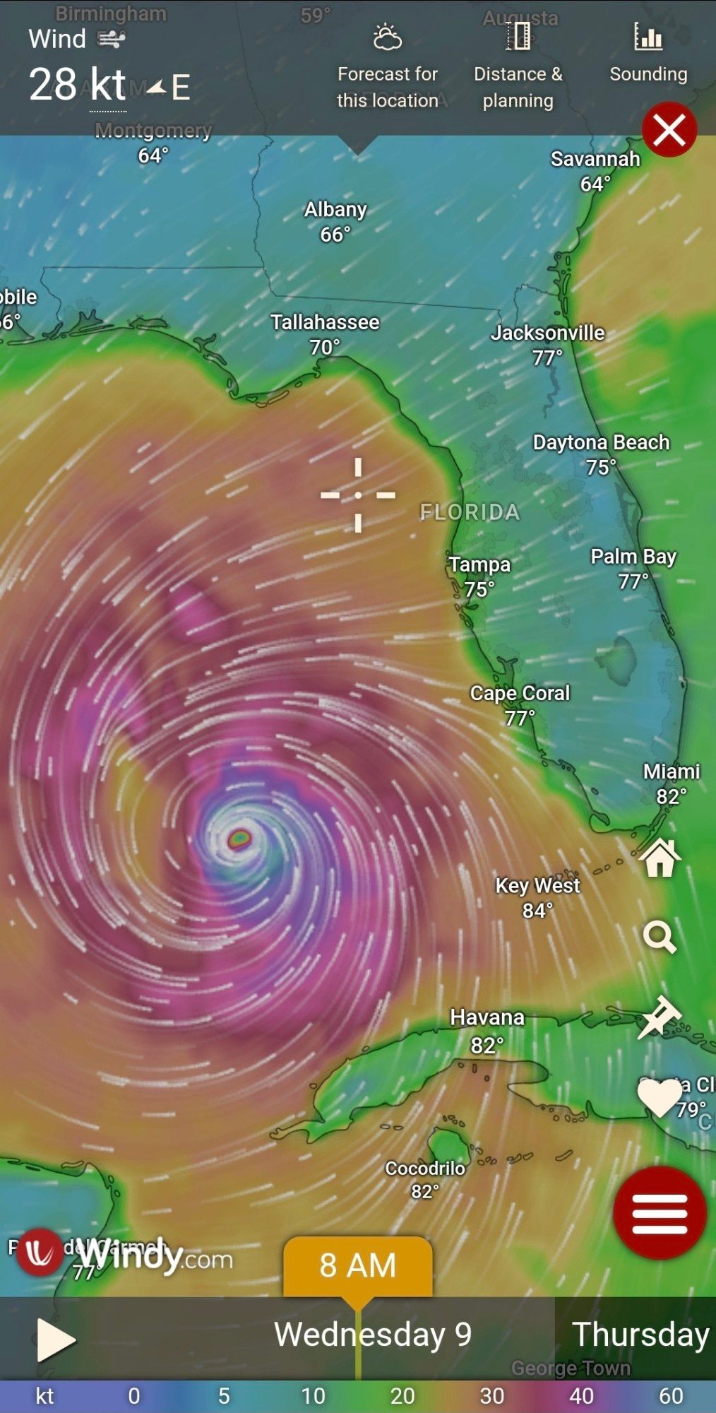 A screenshot of windy app showing hurricane milton next to Florida in the gulf of Mexico