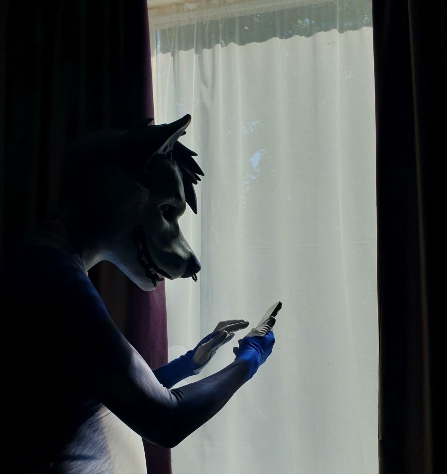 A very artsy photo of me as a big blue dog, standing in front of the window in a hotel room while inquisitively tapping at my phone