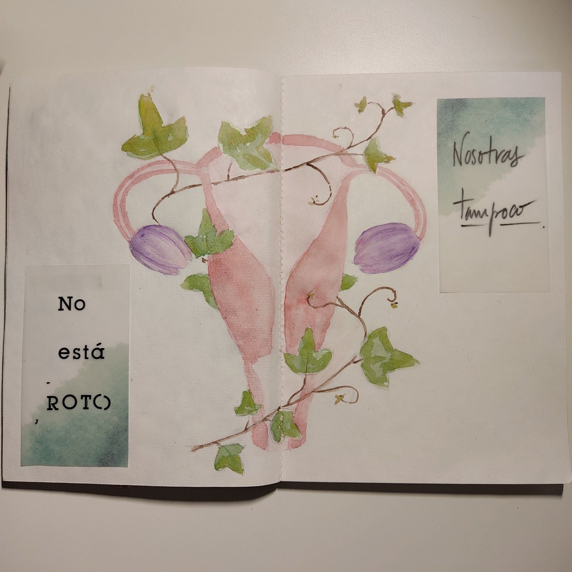 Foto de un cuaderno abierto con una ilustración de un útero en acuarela donde los ovarios son tulipanes morados y alrededor crece una hiedra.
En el lado izquierdo, sobre un papel a dos colores se lee "No está roto" (con la T y la O finales rotas) con letra de imprenta. A la derecha en un papel igual pero colocado invertido se lee, escrito a mano, "nosotras tampoco"