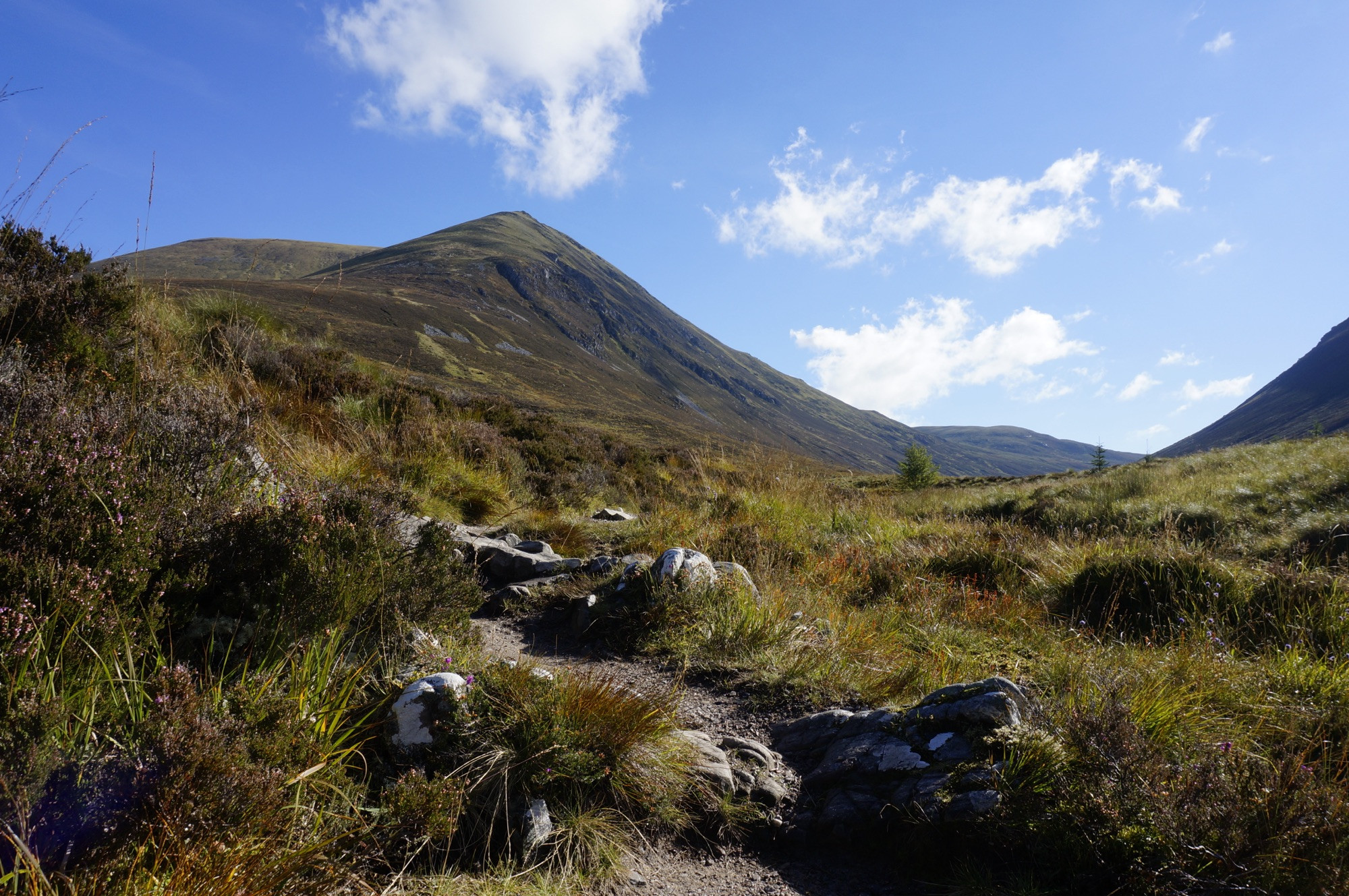 Looking up at the mighty Ben Wyvis!