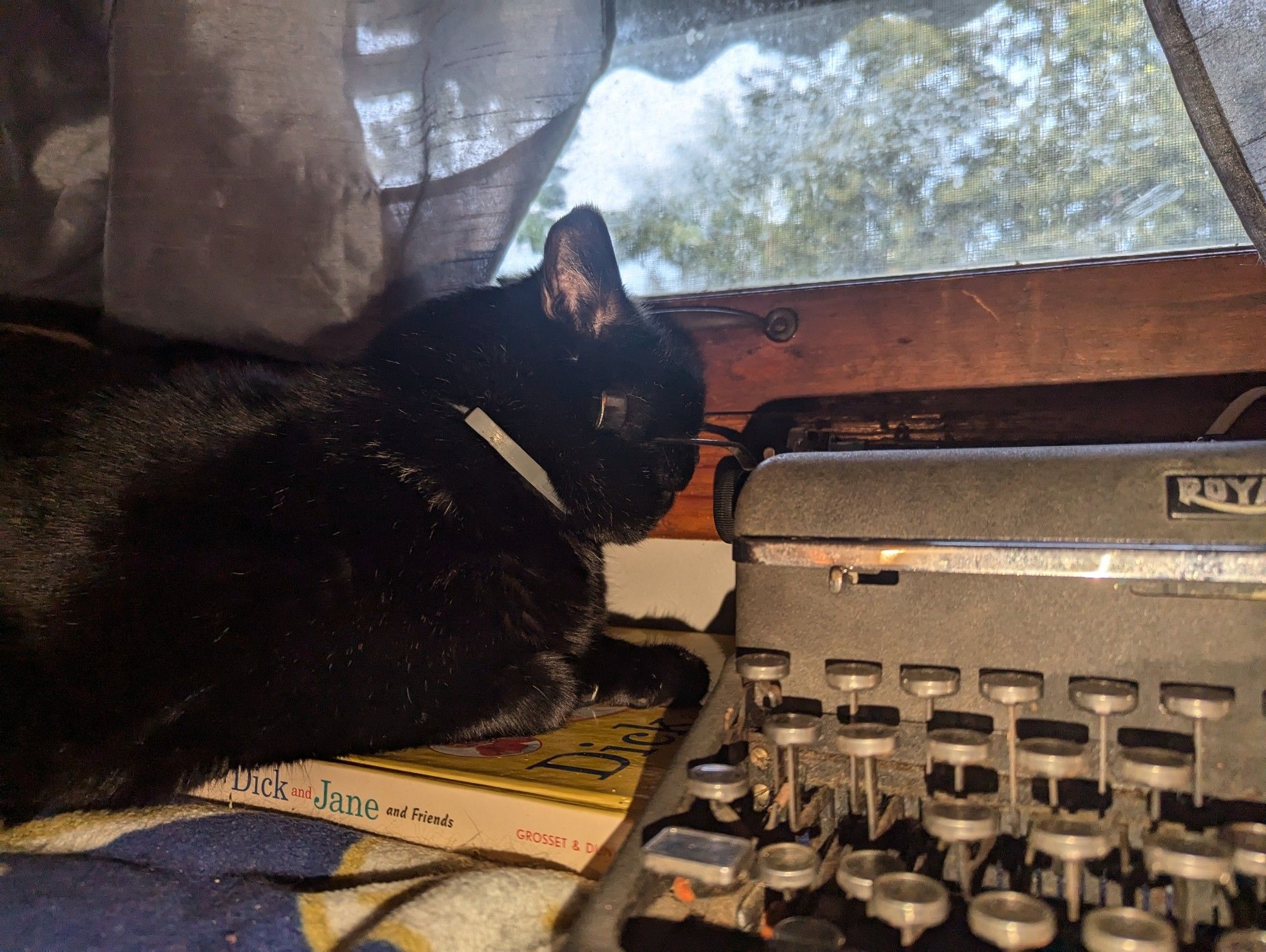 A black cat rests his head on the arm of an analog type writer. Both are sitting at a window sill.