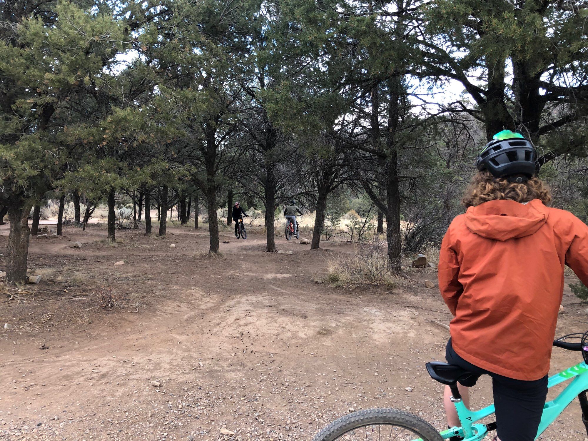 Person in mountain bike looking at two riders navigating the sharp turns track with trees nearby.