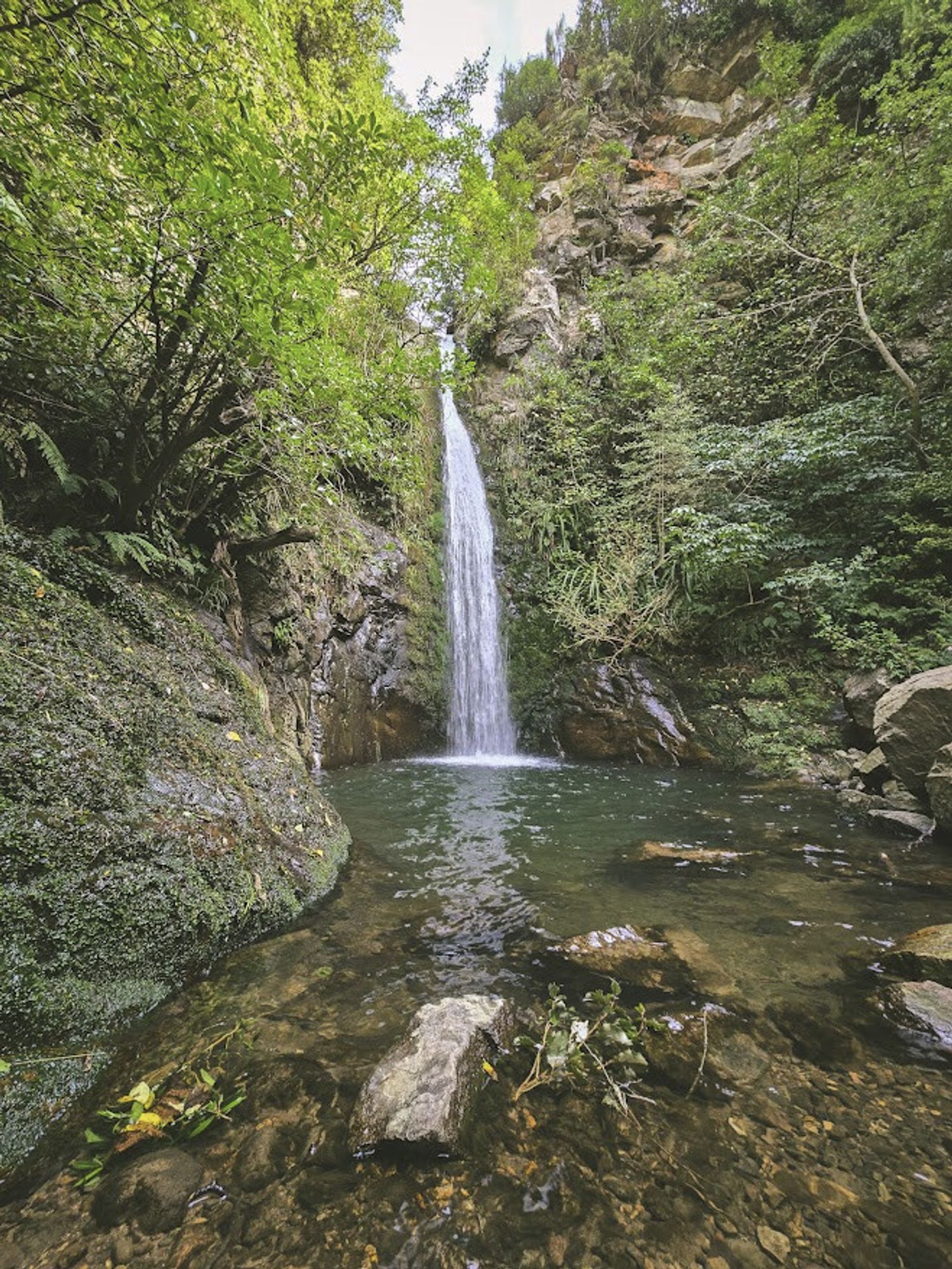 Washpen Falls, Windwhistle, Canterbury, NZ. A pretty little waterfall surrounded by greenery.