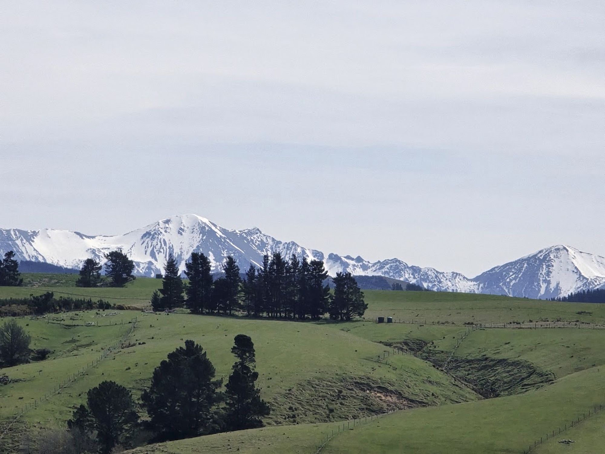 Snowy mountain peaks just peep over the top of rolling green hills with a few trees. We're coming into warmer weather now so the snow will gradually disappear, but we're not quite there yet!