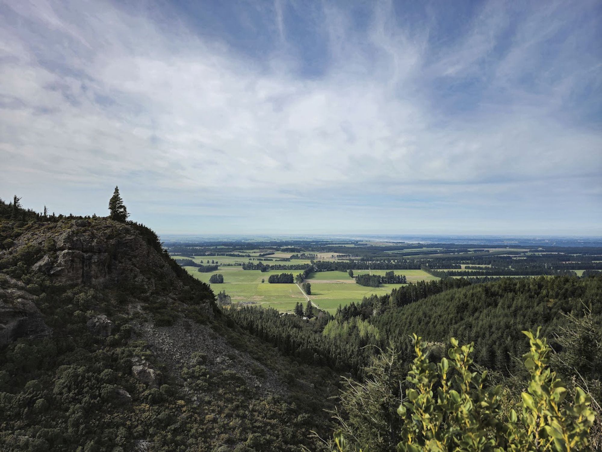 The view from the highest point of the track we walked, looking out over the Canterbury plain. In the foreground are pine forests and in the distance are green fields criss-crossed by rows of trees that serve as windbreaks.