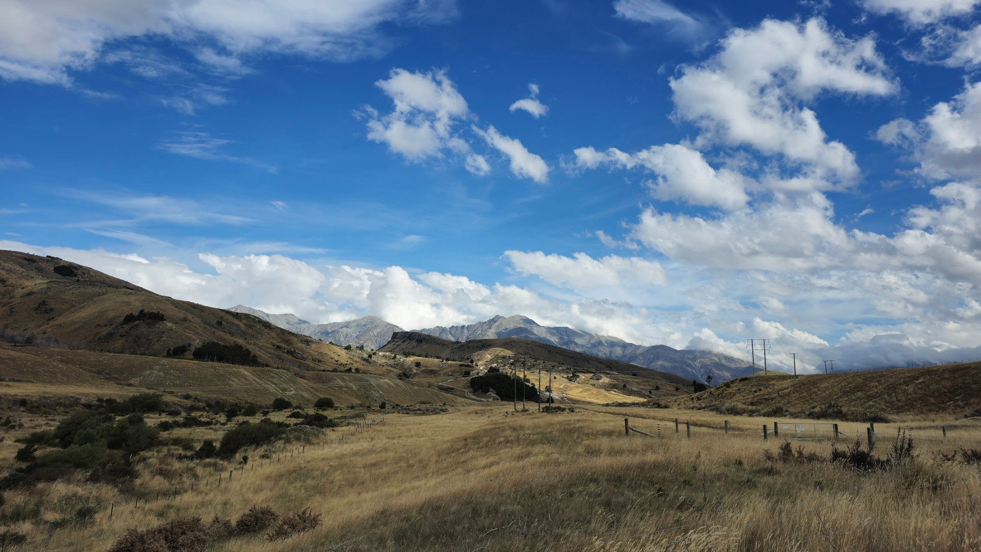 A typical New Zealand scene, with blue skies, fluffy white clouds, mountains in the distance, and grassland in the foreground.