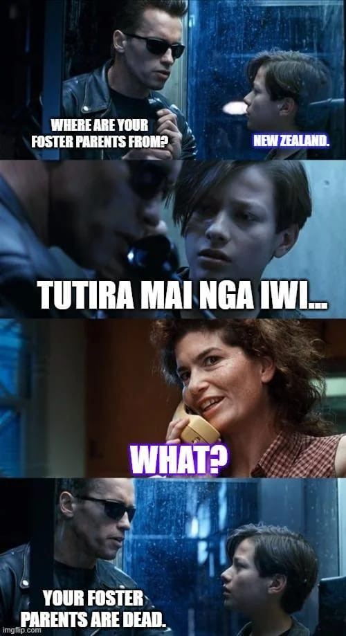 Scene from Terminator when the Terminator ascertains that John's parents are dead. Instead of the question that Arnie asked in the original he asks "Where are your foster parents from", John answers "NZ" to which Arnie says "Tutira mai ngā iwi" and then the mother answers What? when Arnie then hangs up and says "Your foster parents are dead"