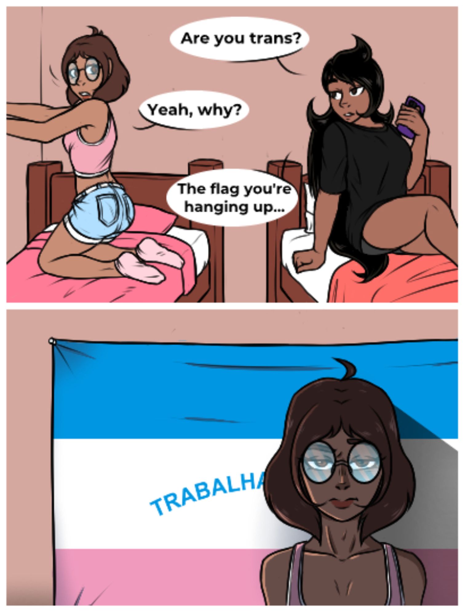 Gabriela and her roommate are chilling. "Are you trans?" Gabriela asks while the other fixes something on the wall. "Yeah, why?" she confirms, and Gabriela points to the flag, saying "The flag you're hanging up..." In the second panel, it is revealed that it is not a trans flag that her roommate is hanging, but the flag of the Brazilian state of Espírito Santo. The roommate looks unamused at Gabriela.