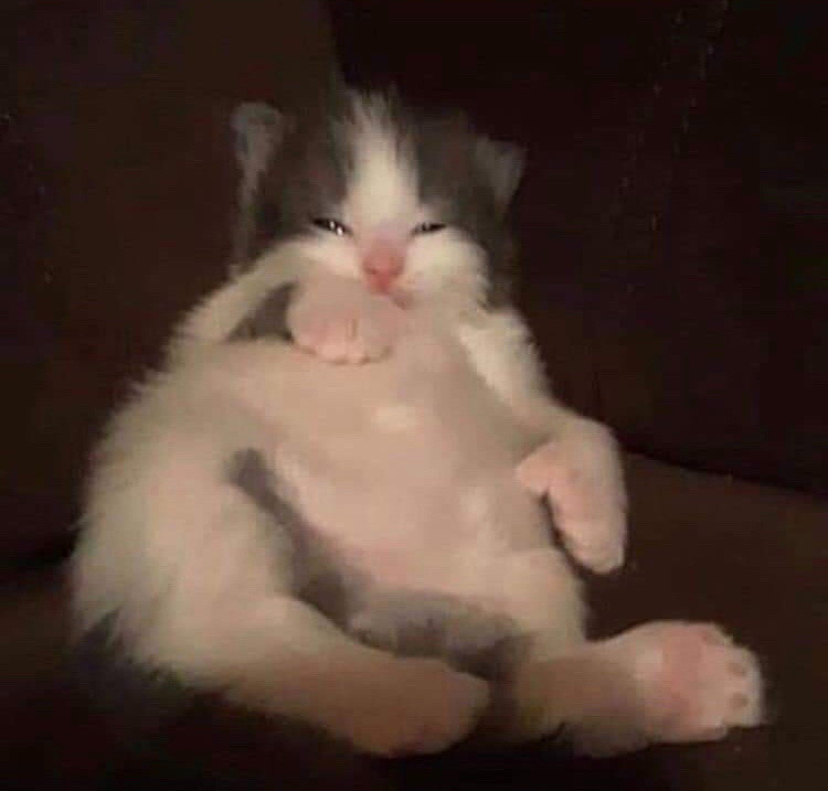 A white kitten with gray markings is lying on its back with its rear paws toward the camera, looking silly and sleepy. when you look at the image you can detect a tinge of melancholy. (This detail is not included in the picture but in this moment it's thinking 'ougugggogoguggggohhgohoguhhohohuogghhuuuhh')