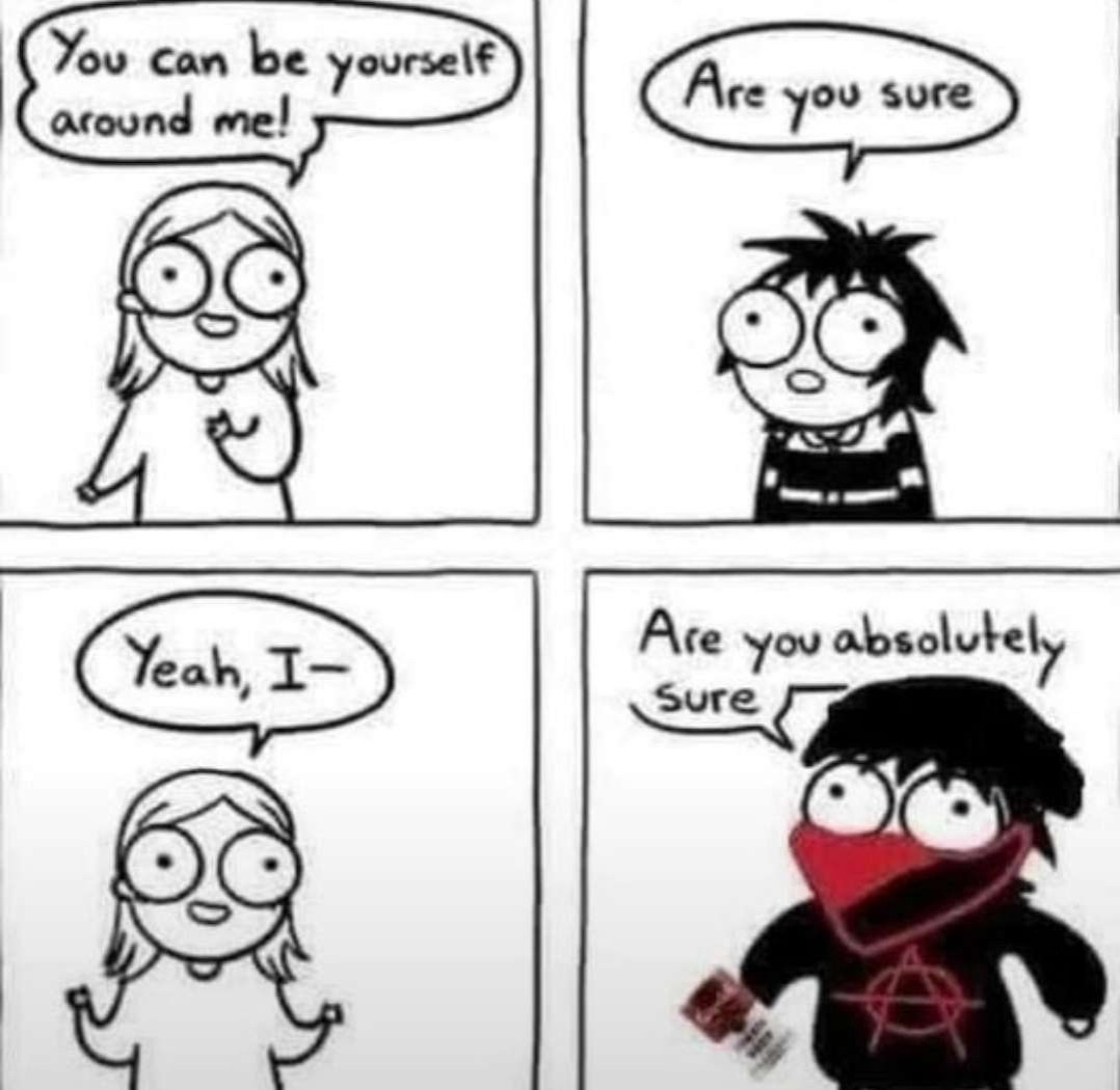 An edited four panel comic strip showing a brief dialogue between two characters. The first says "You can be yourself around me!" and the second says "Are you sure," to which the first begins to reply "Yeah, I--" when person number two, now wearing a black shirt with an anarchy symbol, a black and red bandana over their mouth, and brandishing a Campbell's soup can like a molotov cocktail says "Are you absolutely sure"