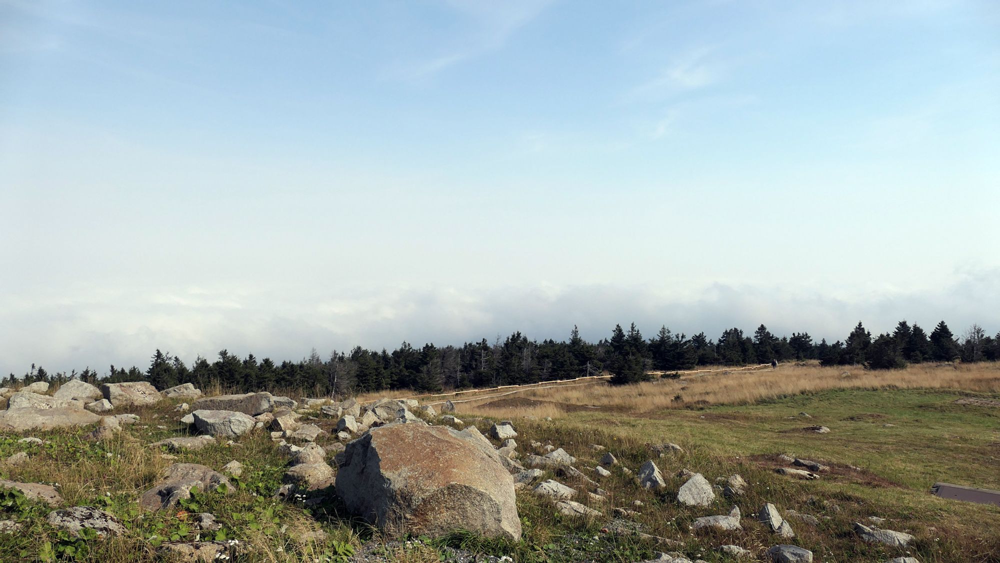 Das Bild zeigt eine felsige Landschaft mit verstreuten großen Steinen im Vordergrund. Im Hintergrund sind Bäume zu sehen, und es wirkt, als ob sich dichter Nebel unterhalb des Betrachters befindet. Der Nebel bedeckt das Tal und lässt nur die Baumkronen sichtbar werden, während der Himmel darüber klar ist.