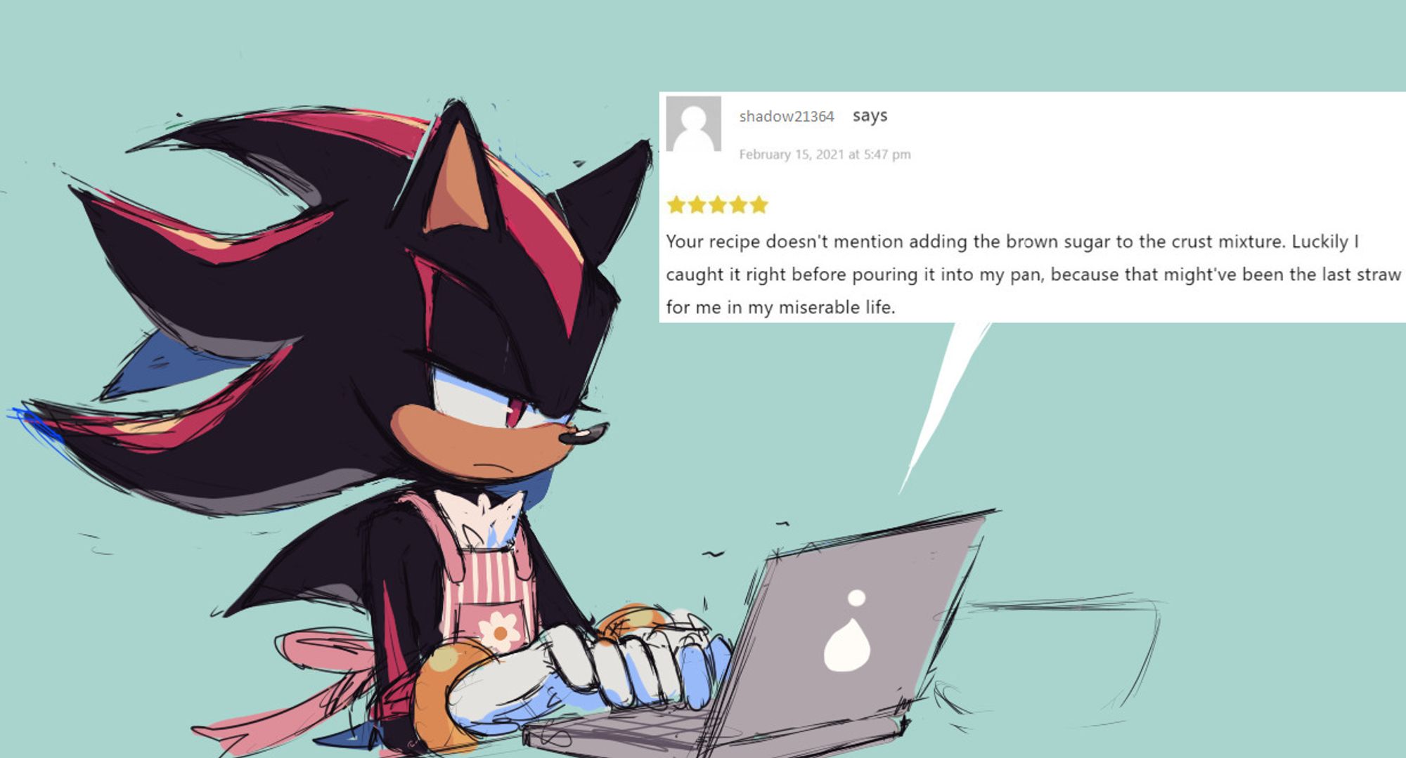 Shadow the Hedgehog wearing a pink cooking apron, typing a review on his laptop with a flat expression. The review being as follows: "Your recipe doesn't mention adding the brown sugar to the crust mixture. Luckily I caught it right before pouring it into my pan, because that might've been the last straw for me in my miserable life."